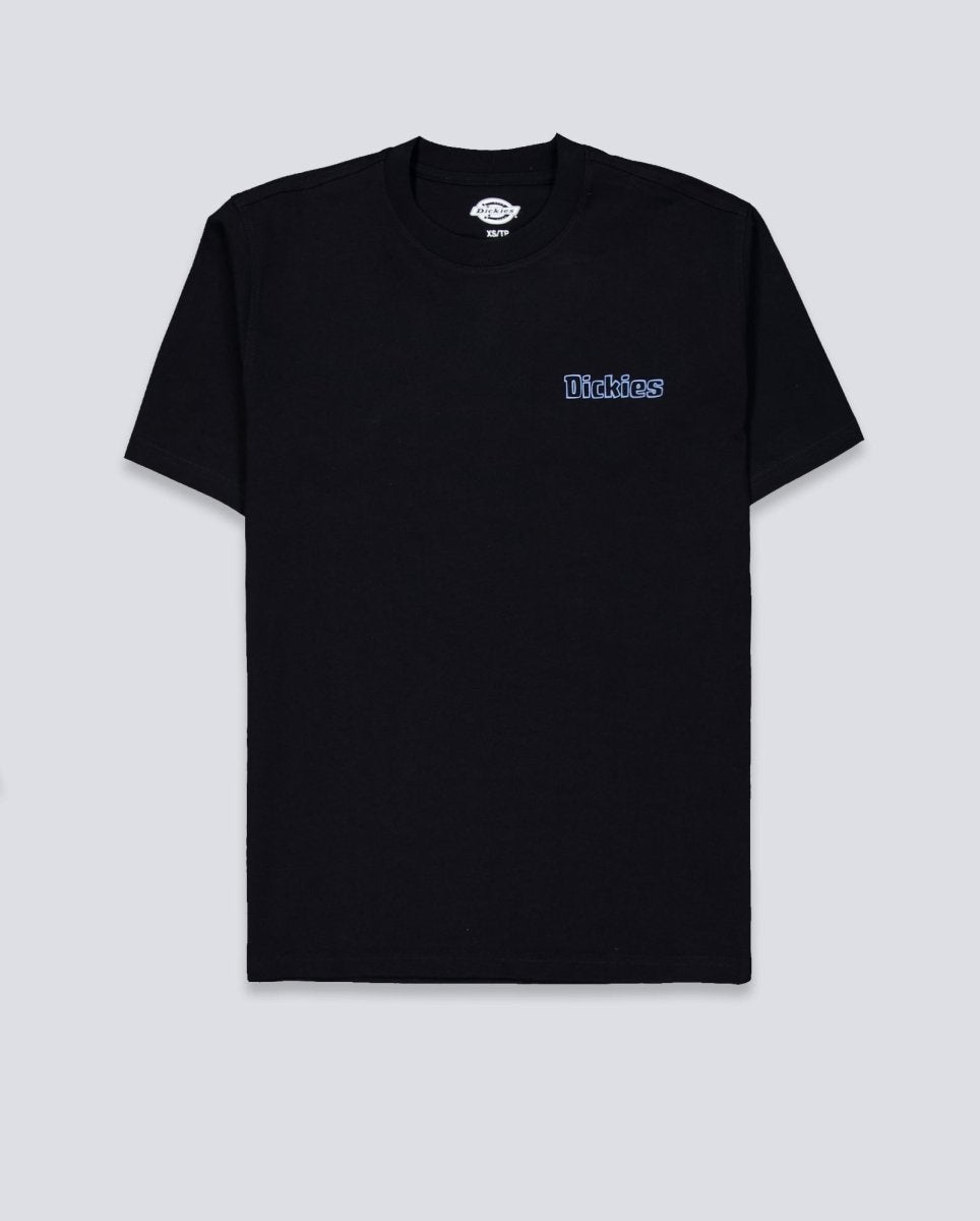 Camiseta Dickies Fairlawn Negro Unisex