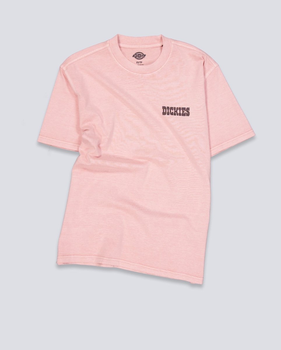Camiseta Dickies Buchtell Rosa Hombre