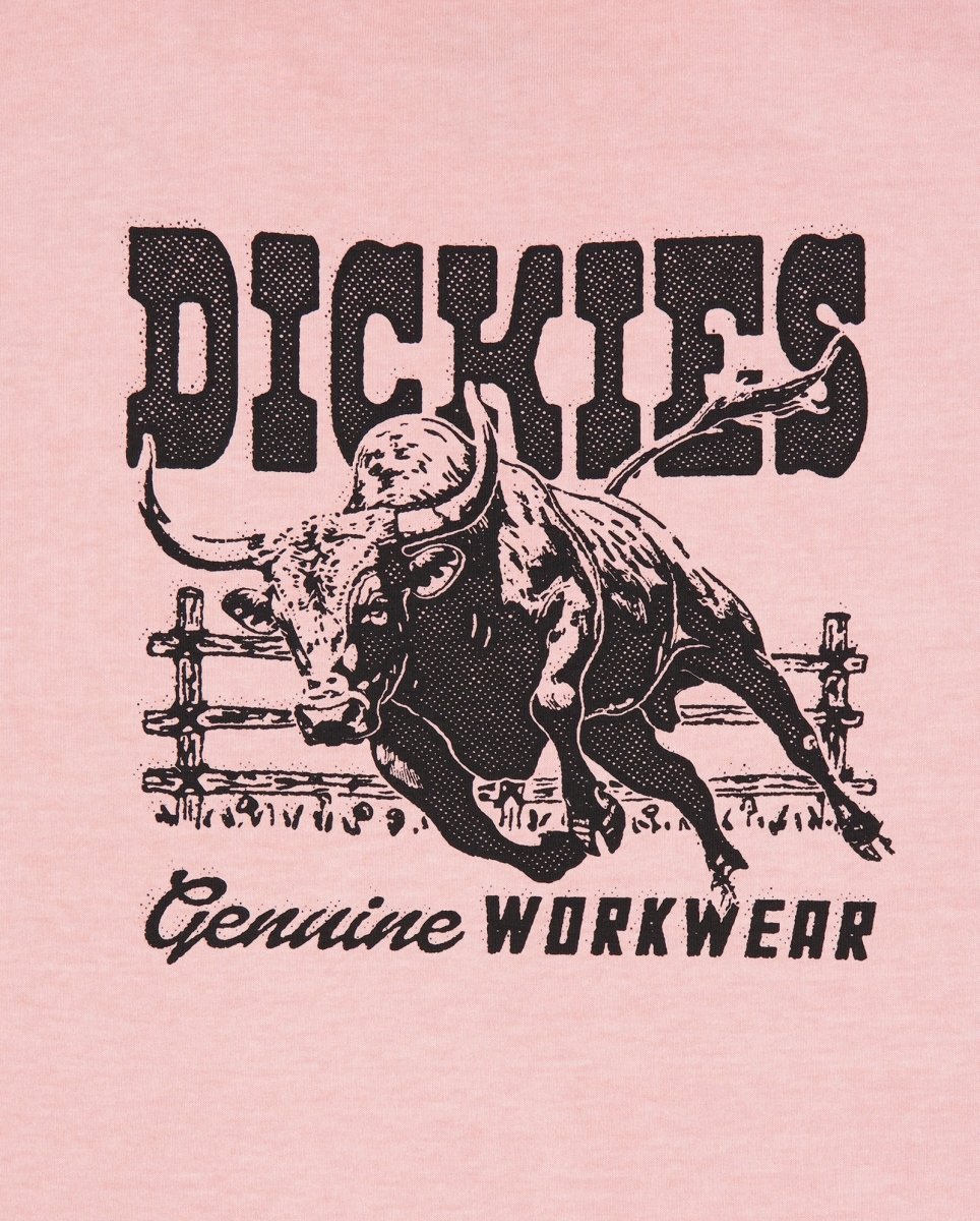 Camiseta Dickies Buchtell Rosa Hombre