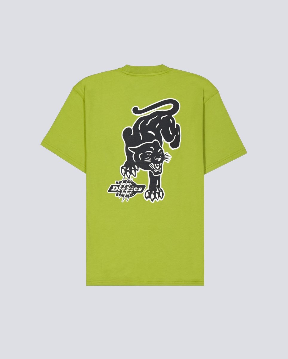 Camiseta Dickies Graysville Verde Hombre