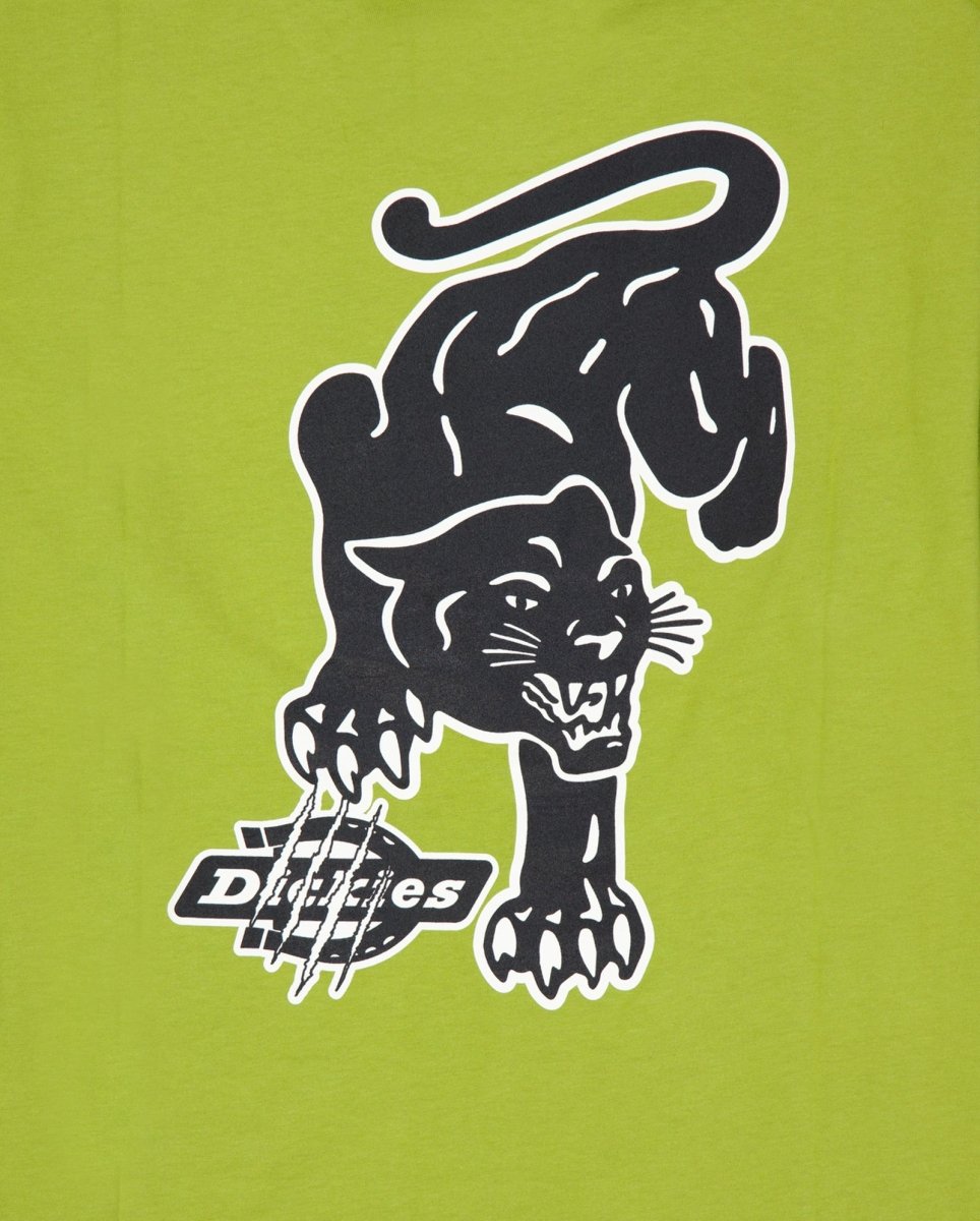 Camiseta Dickies Graysville Verde Hombre
