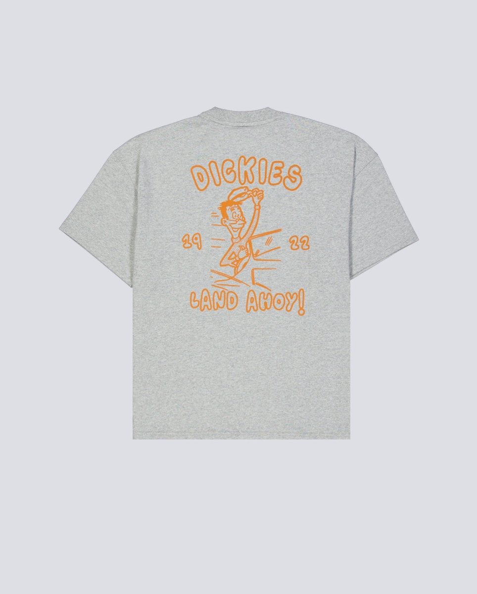 Camiseta Dickies Decartuville Gris Hombre