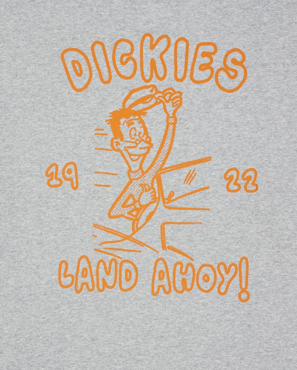 Camiseta Dickies Decartuville Gris Hombre