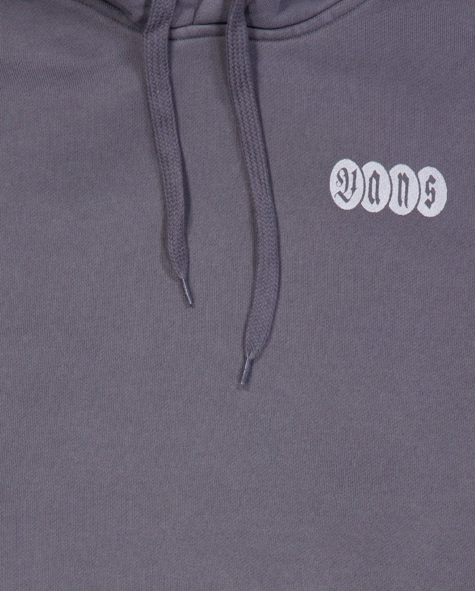 Sudadera Vans Earthbound Loose Gris Unisex