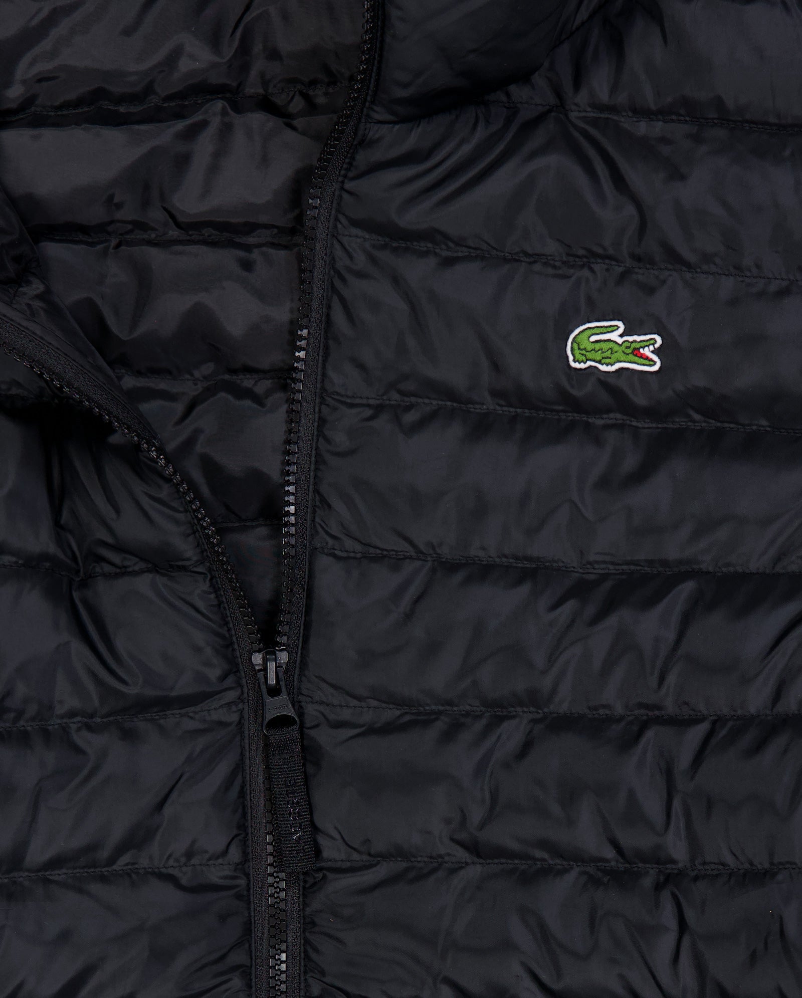 Chaqueta De Plumas Lacoste Blouson Negro Hombre