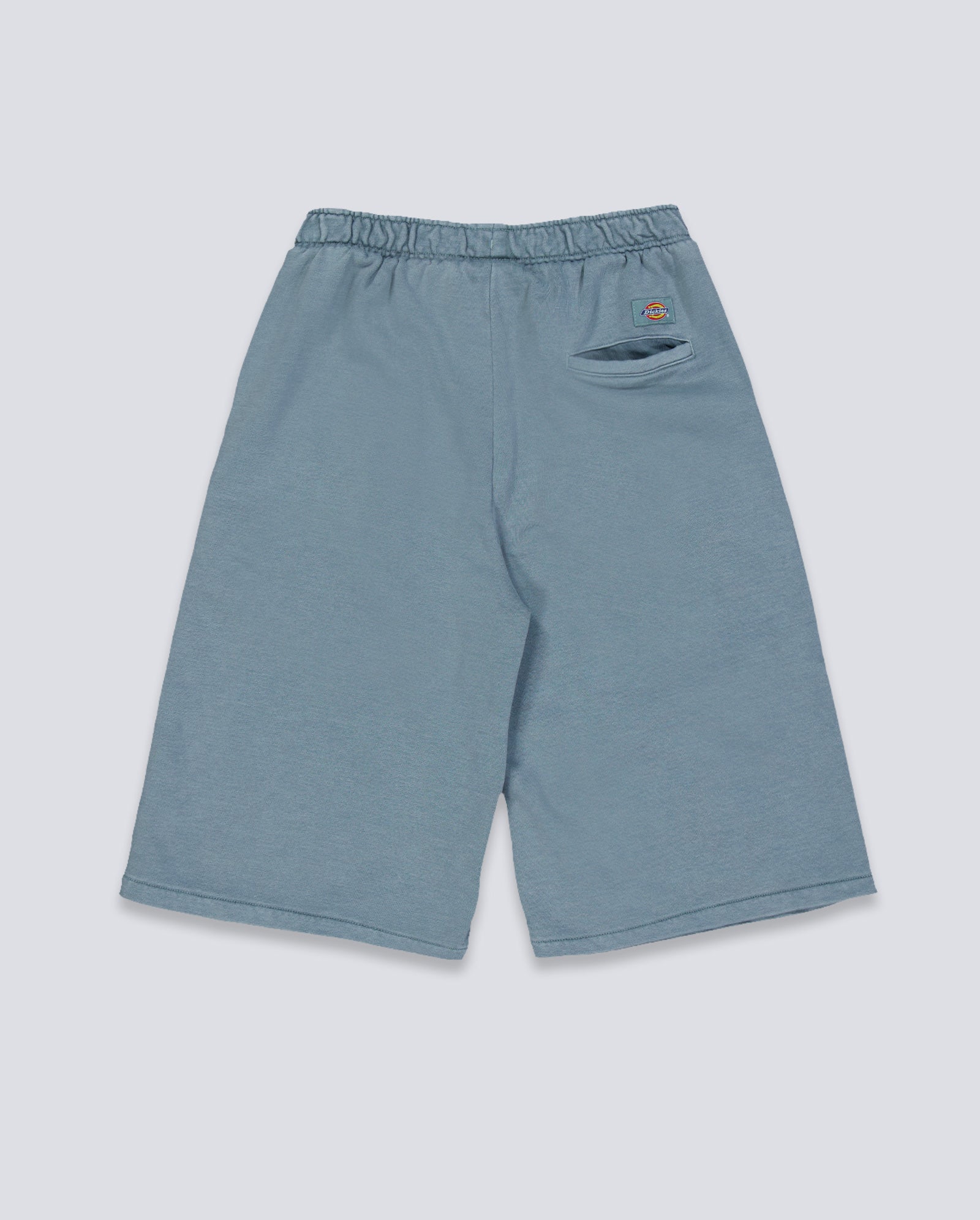 Pantalón corto Dickies Streetsboro Azul Hombre