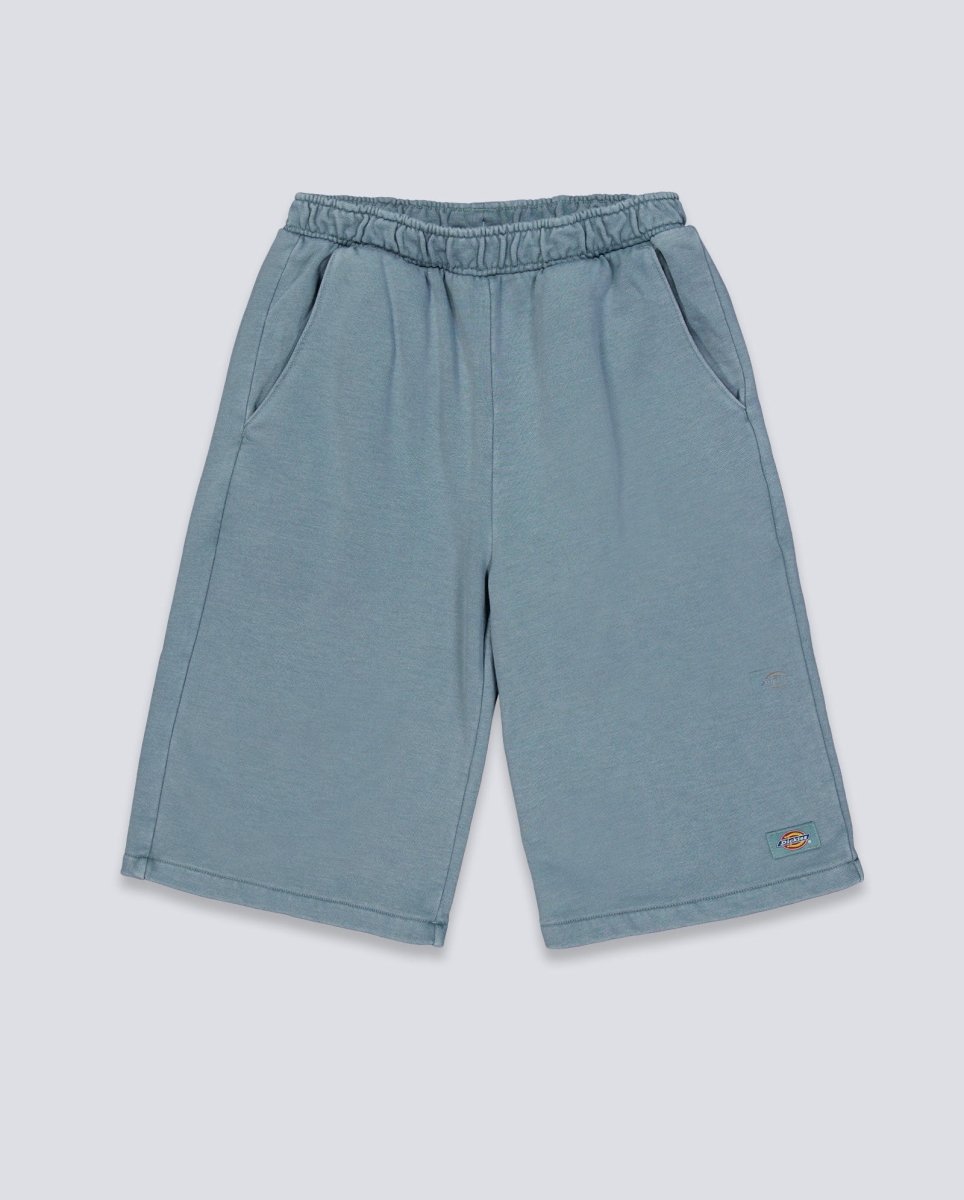 Pantalón corto Dickies Streetsboro Azul Hombre