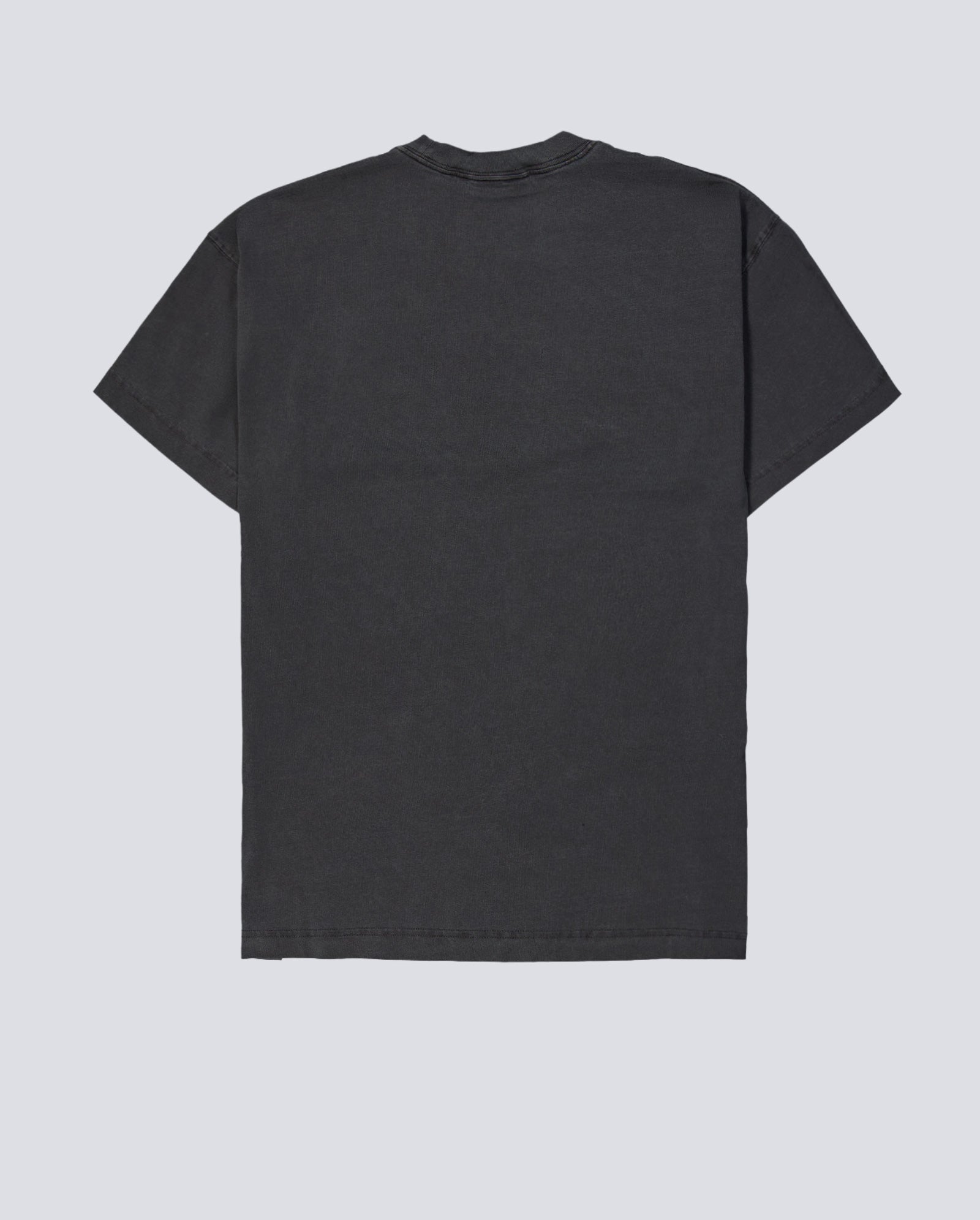 Camiseta Carhartt WIP Nelson Gris Unisex I029949-2LRGD