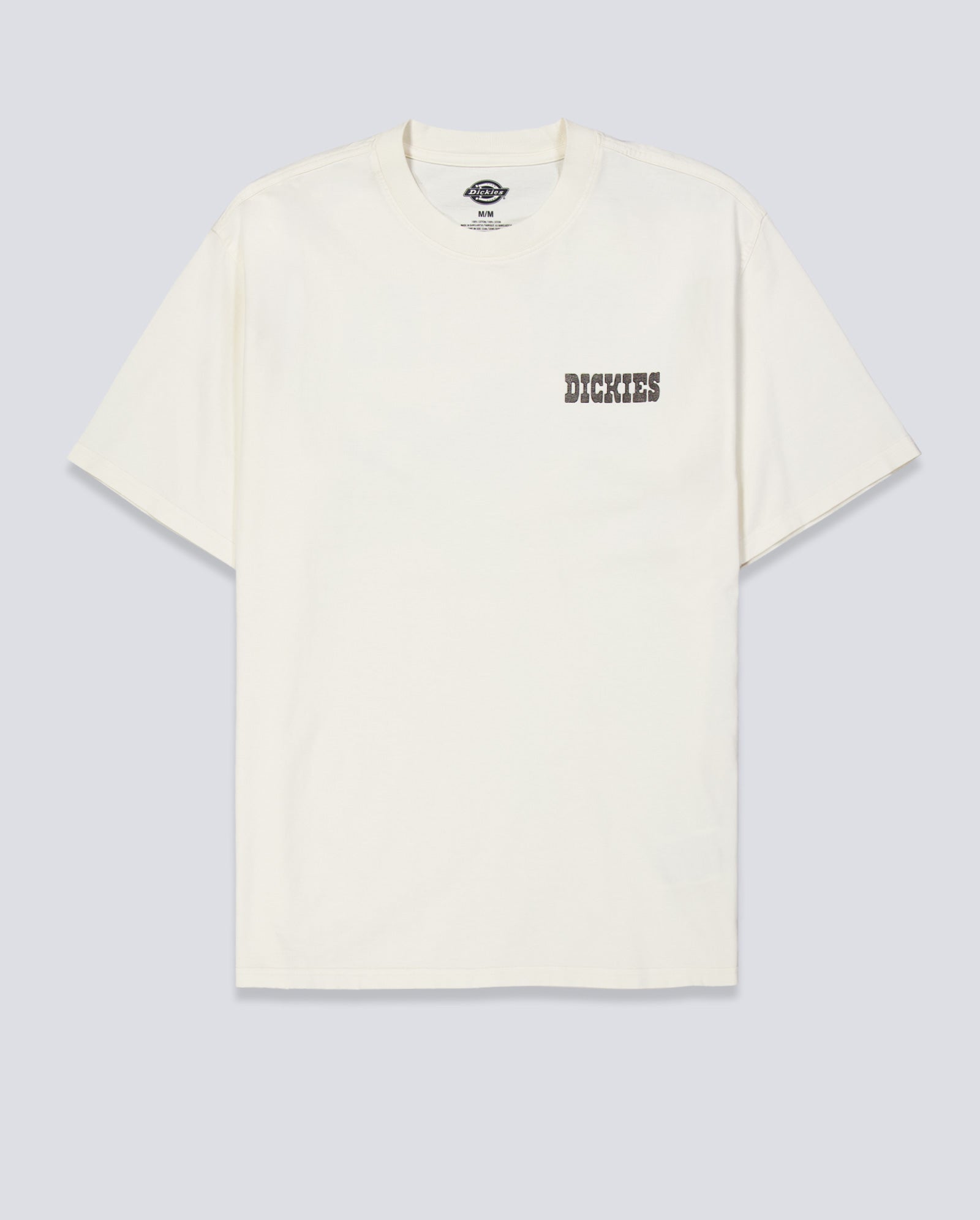 Camiseta Dickies Buchtell Gris Hombre DK0A883BC481