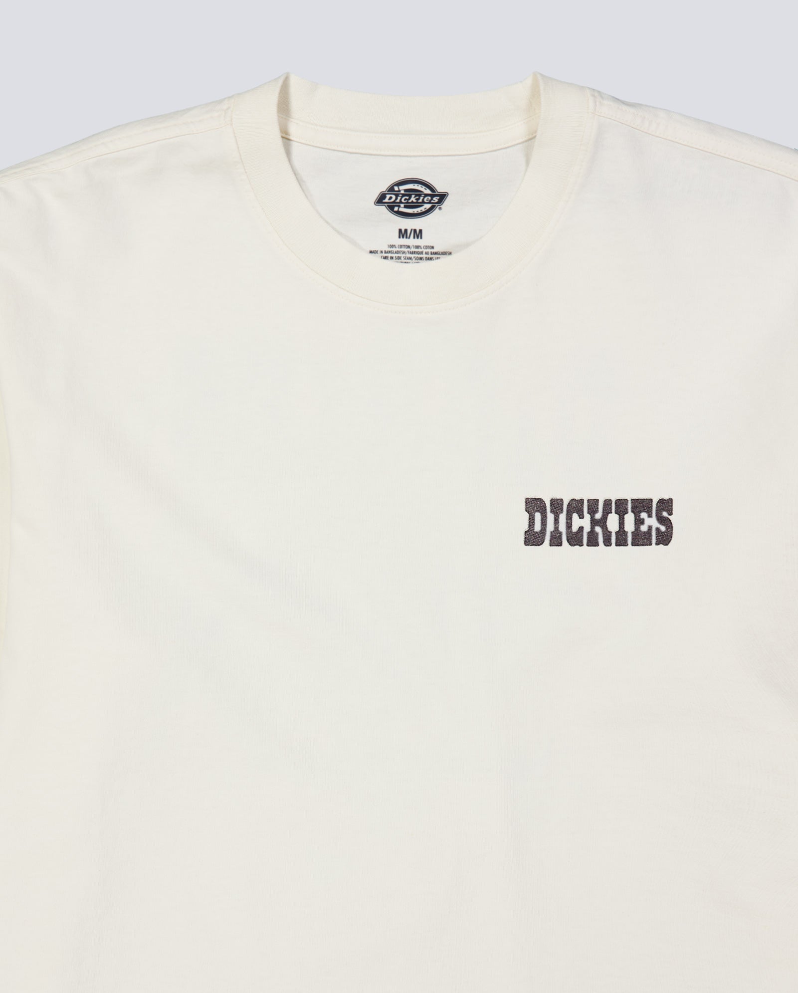Camiseta Dickies Buchtell Gris Hombre DK0A883BC481
