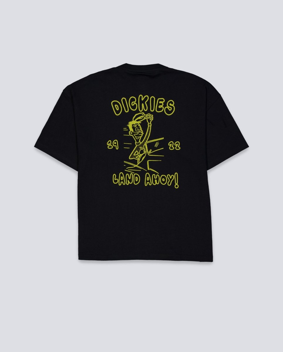 Camiseta Dickies Decartuville Negro Unisex DK0A87QTBLK1