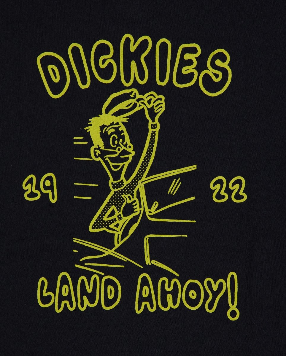 Camiseta Dickies Decartuville Negro Unisex DK0A87QTBLK1