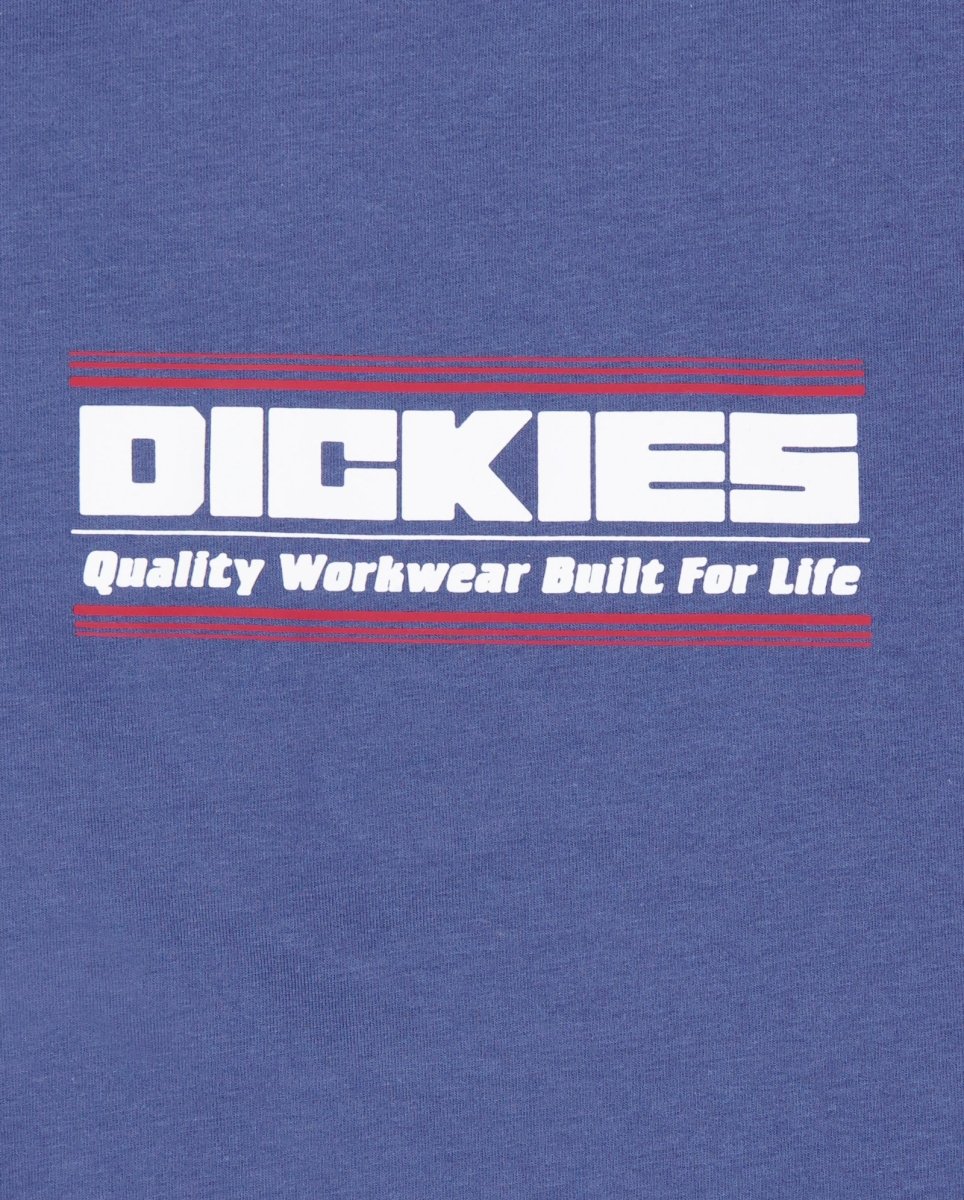 Camiseta Dickies Derby Raglan Azul Mujer DK0A883ARI21