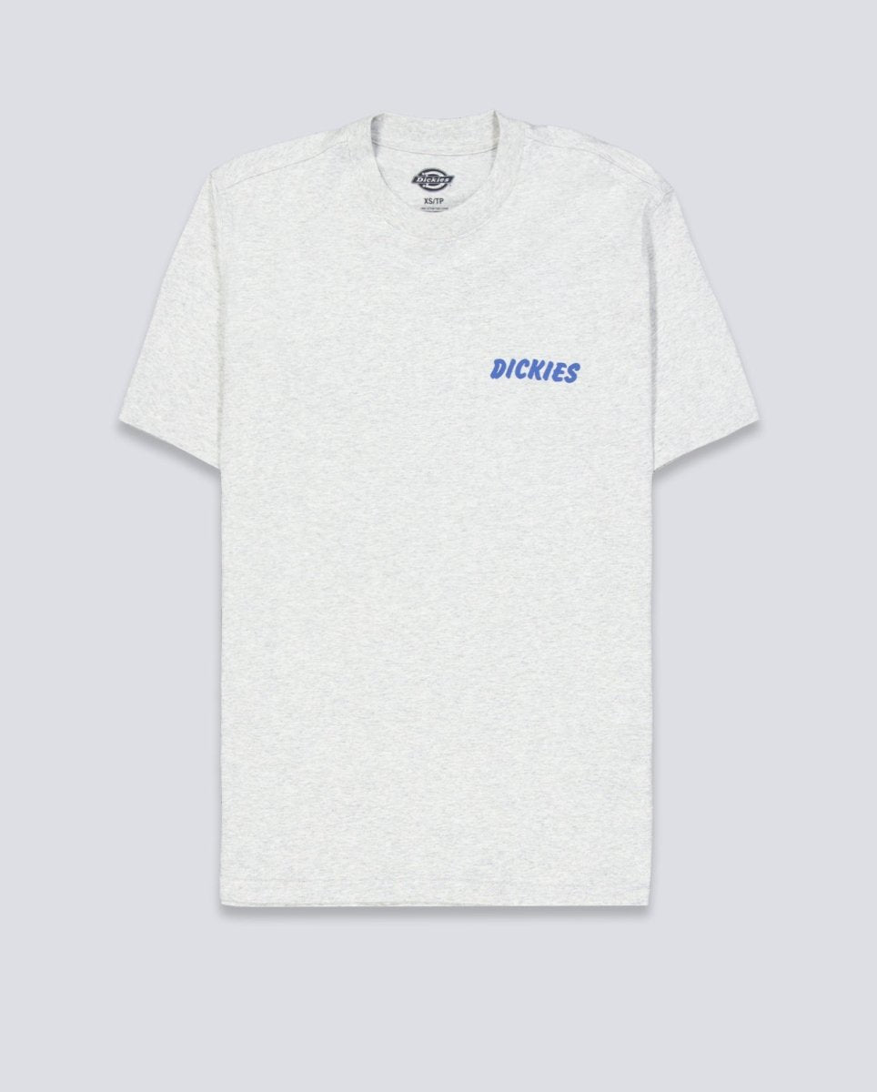 Camiseta Dickies Dry Ridge Gris Unisex DK0A8853A281
