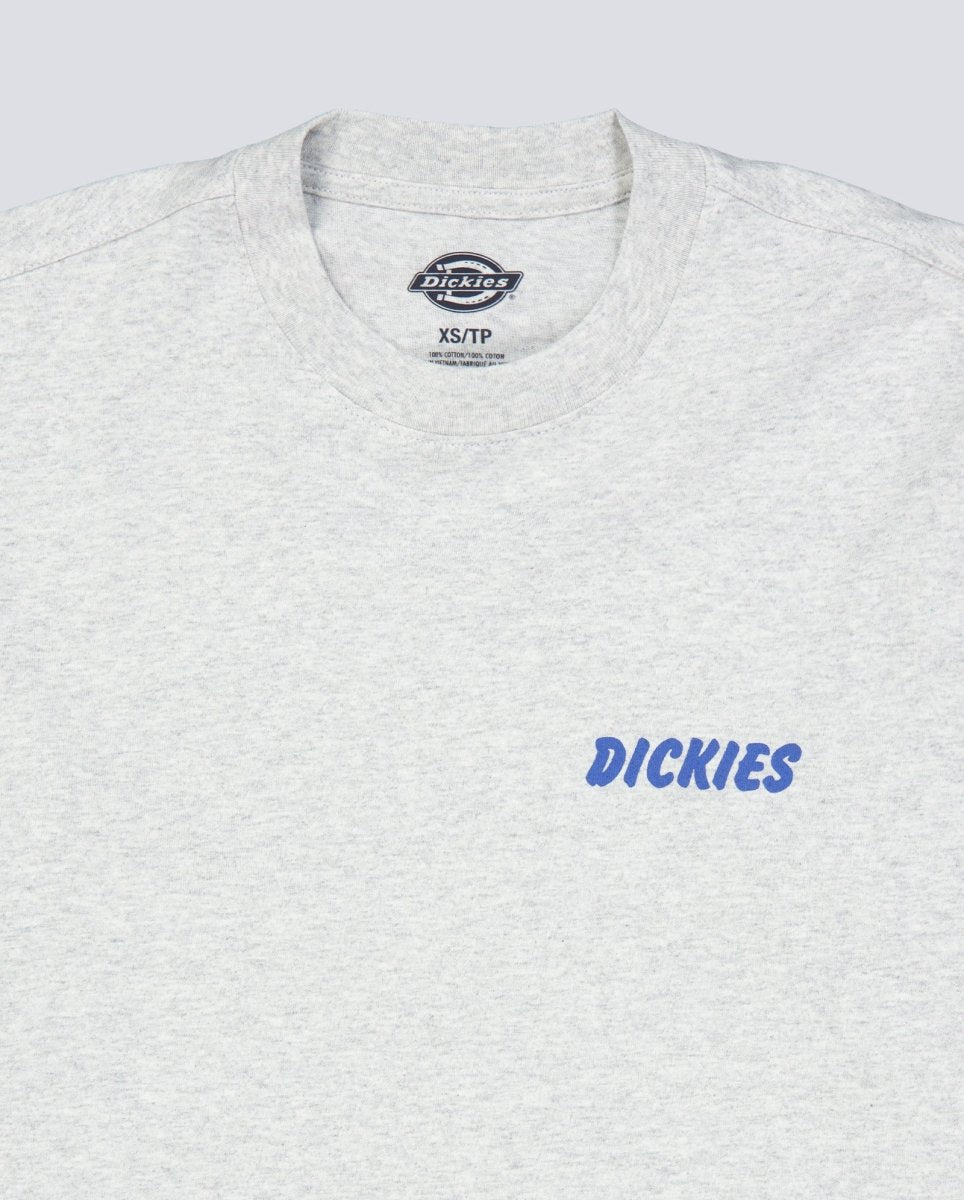 Camiseta Dickies Dry Ridge Gris Unisex DK0A8853A281