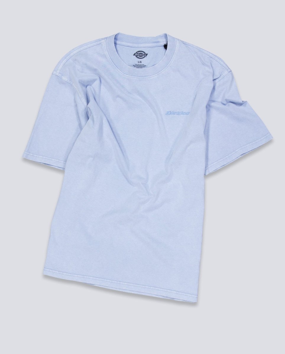 Camiseta Dickies Plentywood Azul Hombre DK0A866BL391
