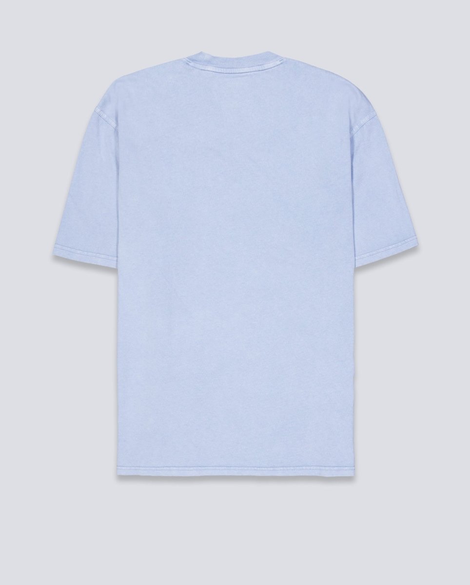 Camiseta Dickies Plentywood Azul Hombre DK0A866BL391