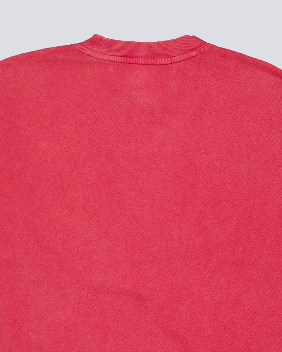 Camiseta Dickies Plentywood Burdeos Hombre DK0A866BL331