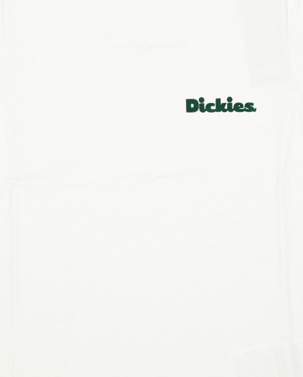 Camiseta Dickies Slayden Ringer Blanco Y Verde Mujer DK0A87Q9C481