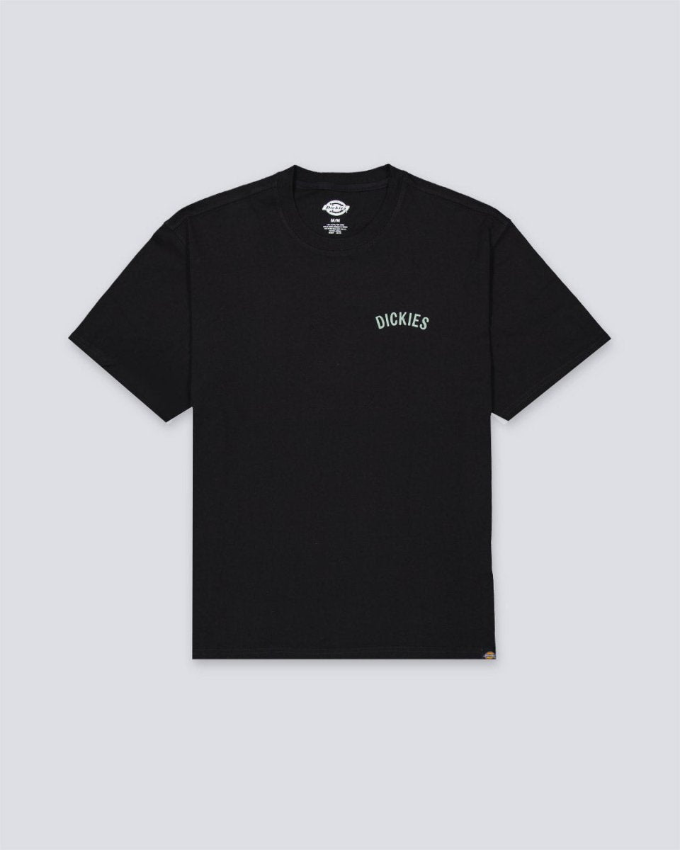 Camiseta Dickies Snake Negro Hombre DK0A4Z99BLK1