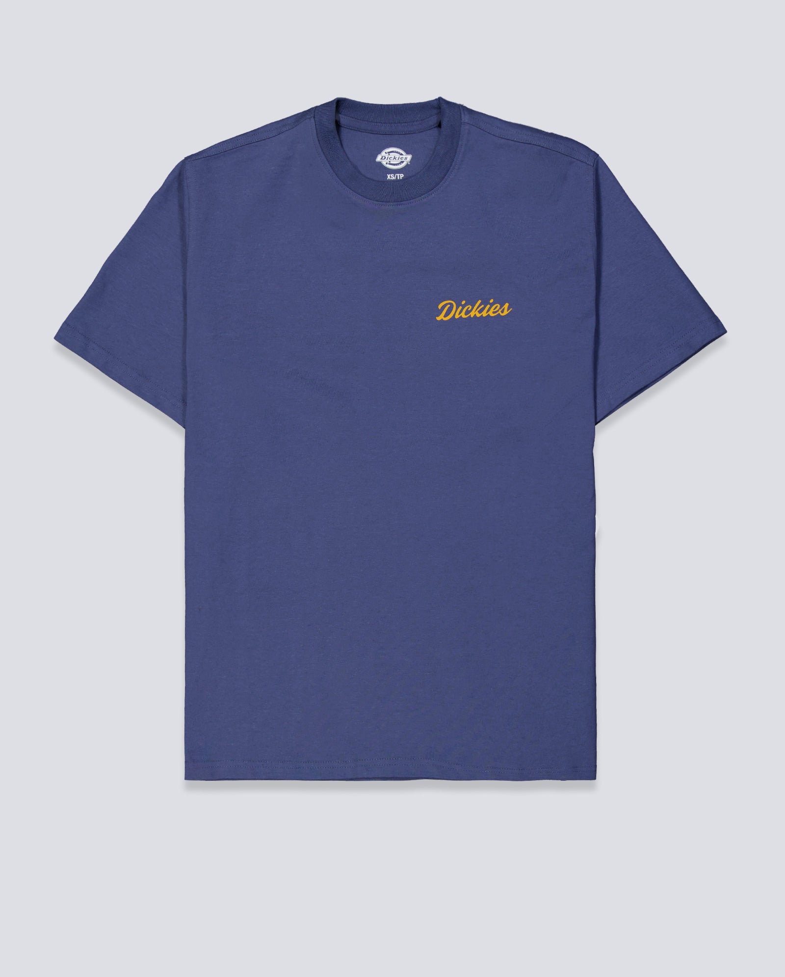 Camiseta Dickies Wellsville Azul Hombre DK0A8886RI21