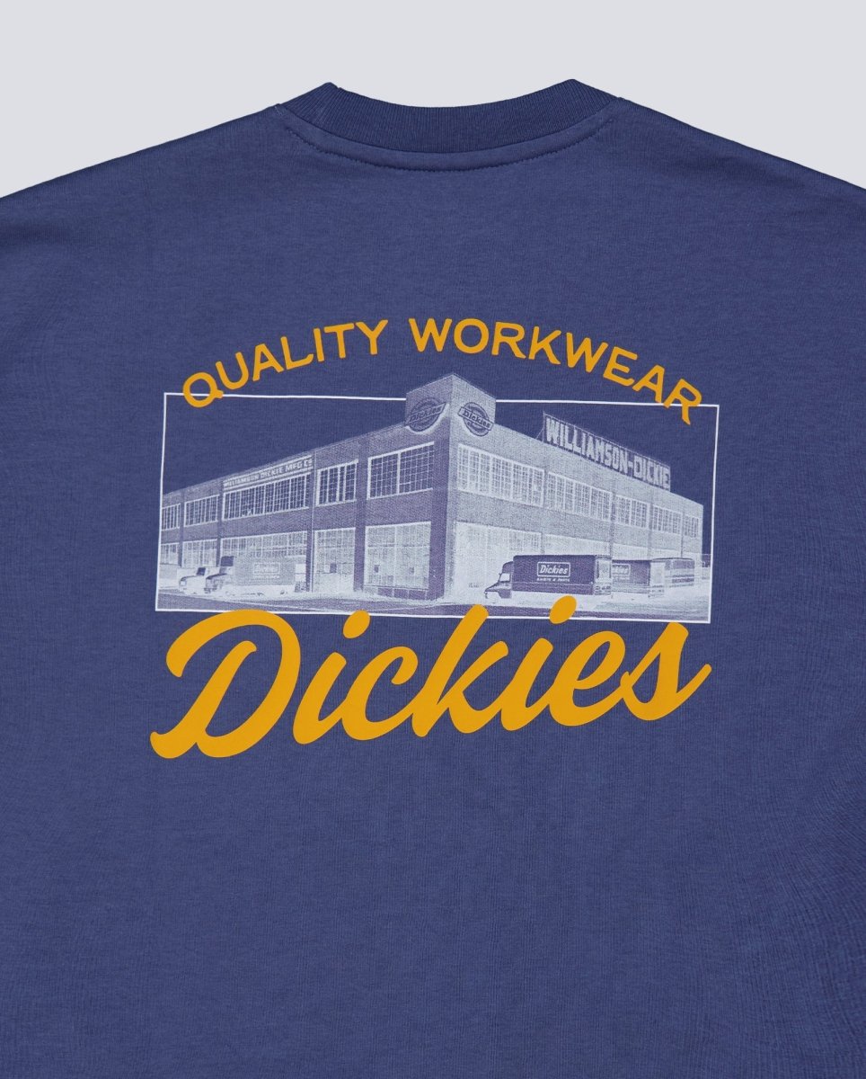 Camiseta Dickies Wellsville Azul Hombre DK0A8886RI21