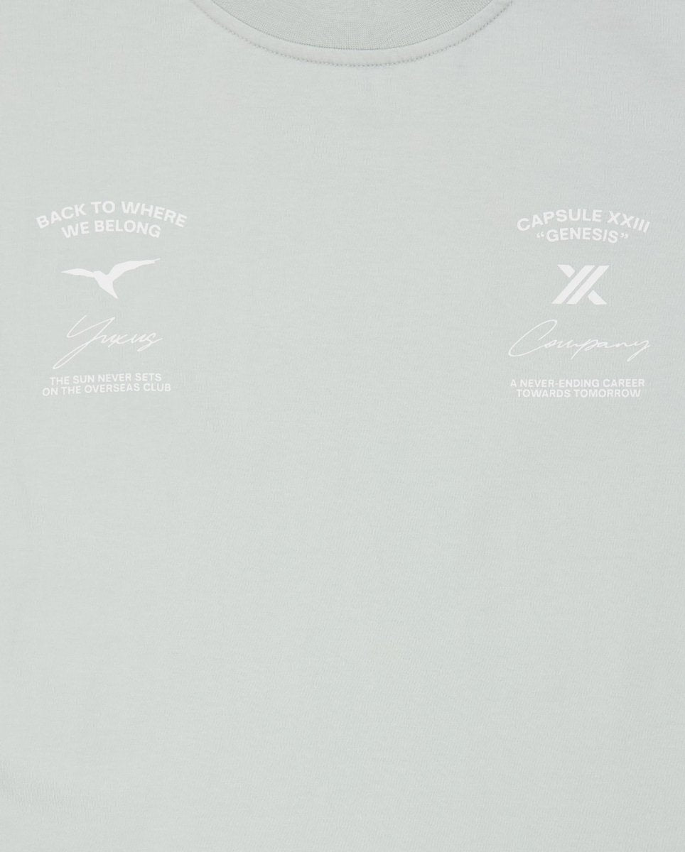Camiseta Yuxus Vibe Genesis Gris Unisex 05-26-GENESIS-V