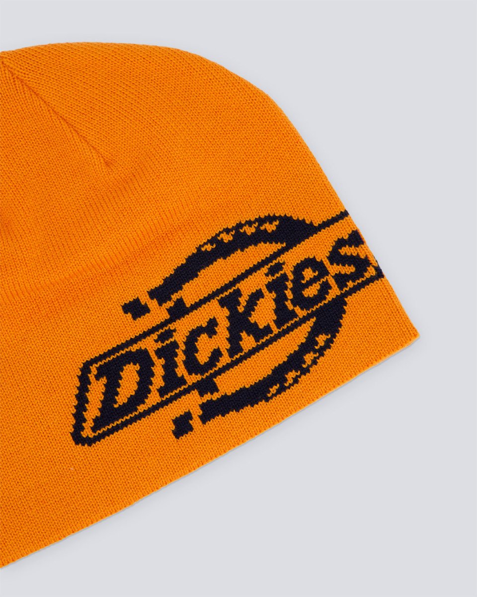 Gorro Dickies Summerdale Logo Naranja Unisex DK0A87NBK641