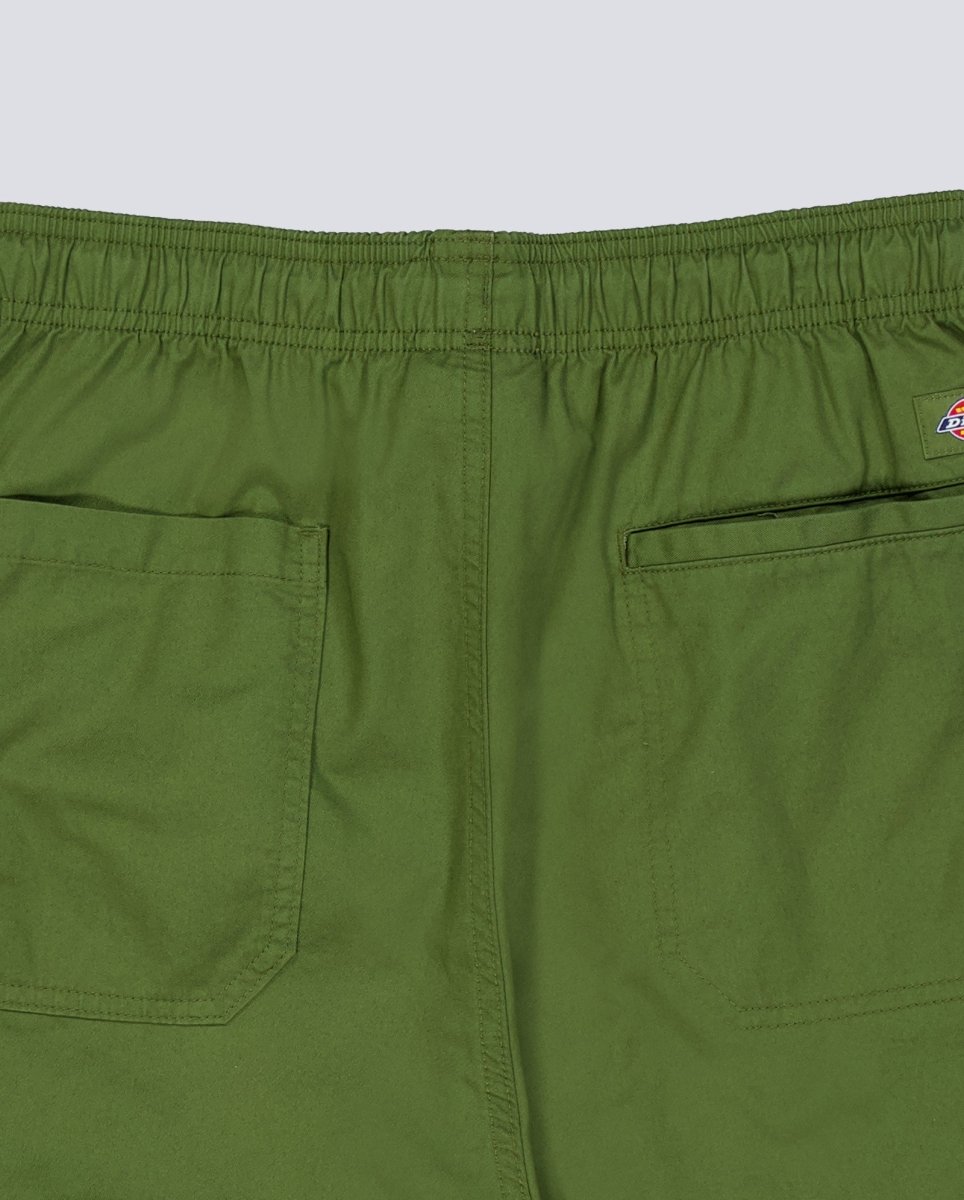 Pantalón Corto Dickies Pelican Rapids Verde Unisex DK0A4XB2K721