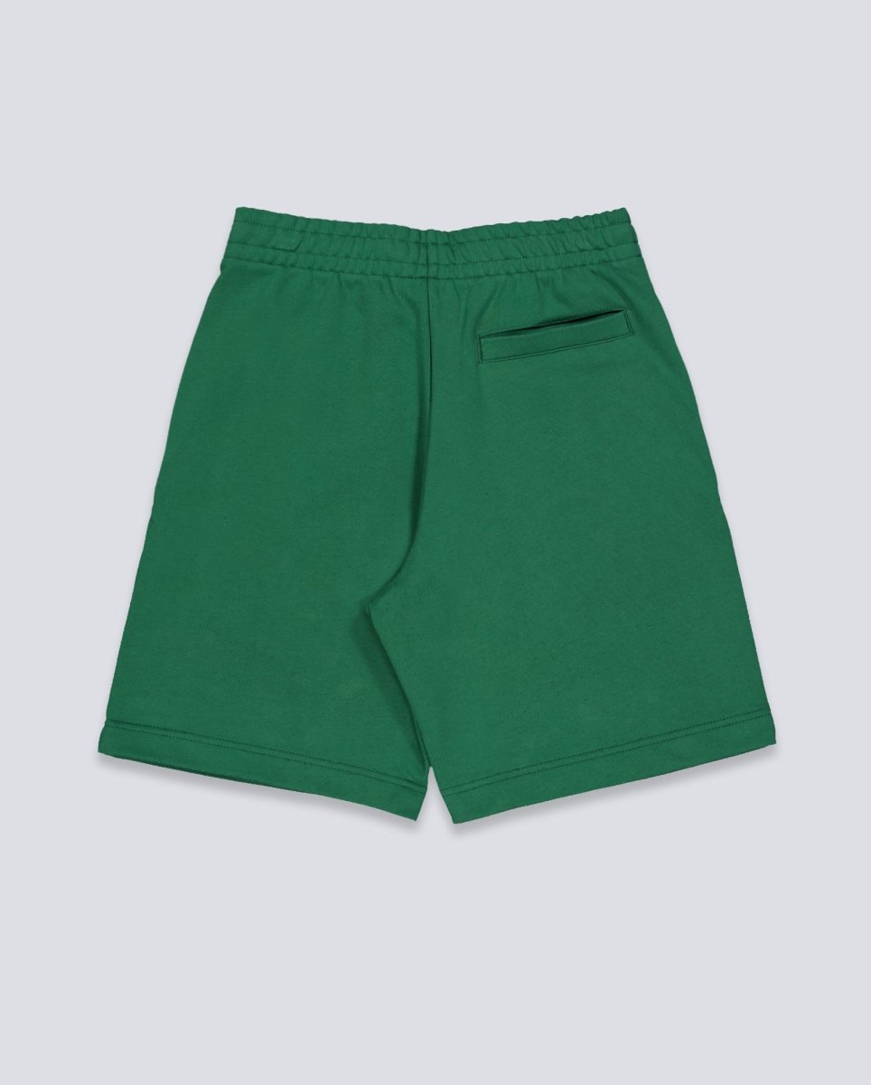Pantalón Corto Lacoste Verde Hombre GH9860-132