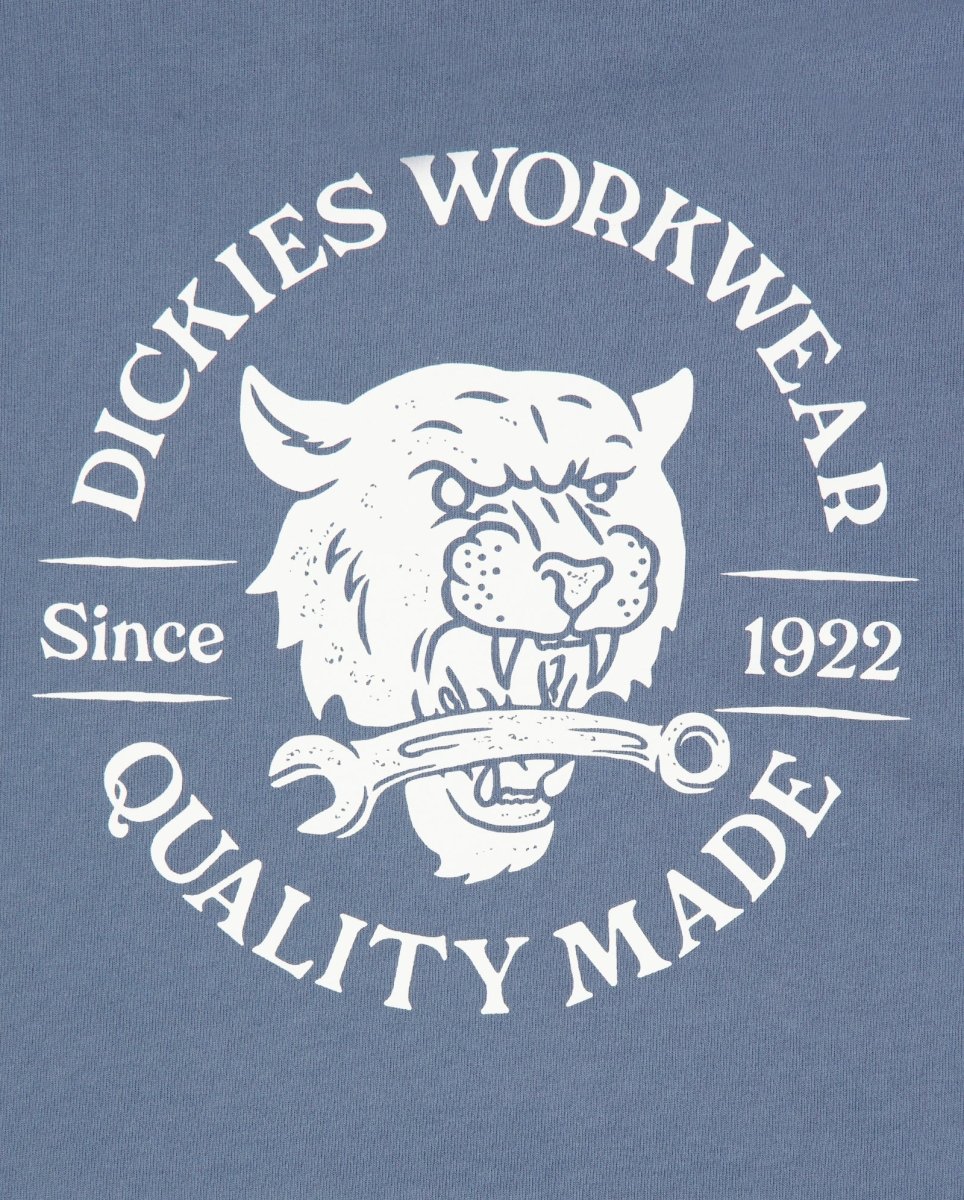 Sudadera Con Capucha Dickies Wrench Azul Unisex DK0A8681G701