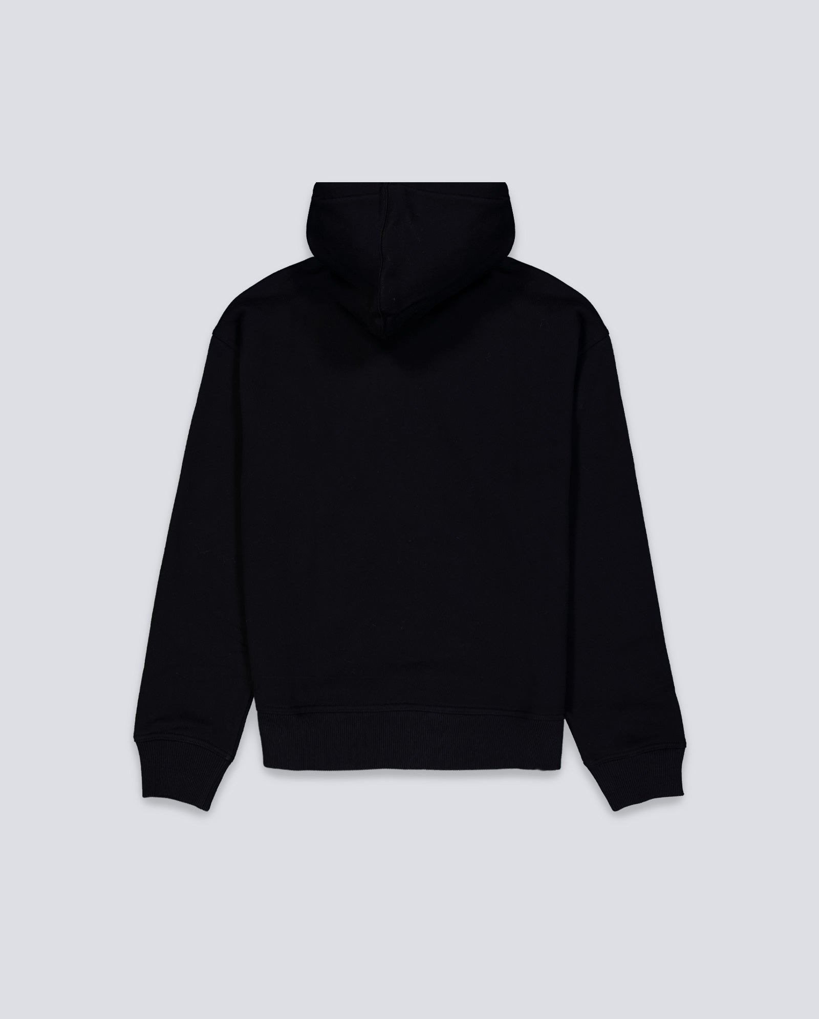 Sudadera Dickies Clancy Sea Spray Verde Hombre DK0A88BKL191