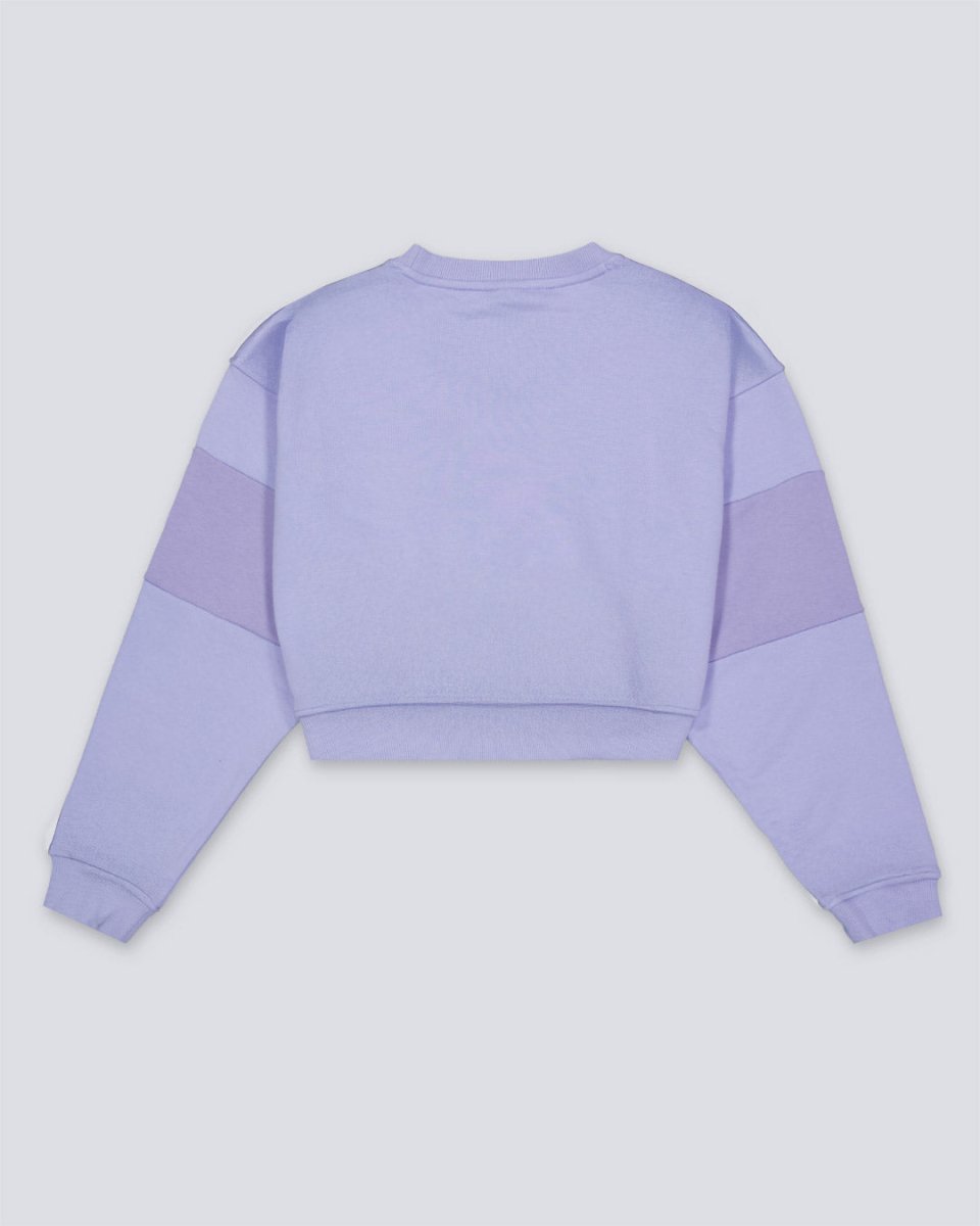 Sudadera The North Face Terry Oversized Cropped Lila Mujer NF0A8C2C0VI1