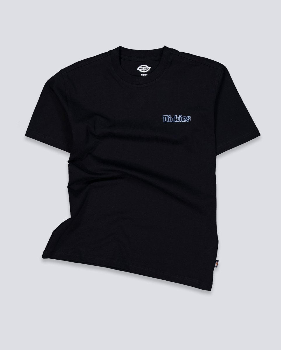 Camiseta Dickies Fairlawn Negro Unisex