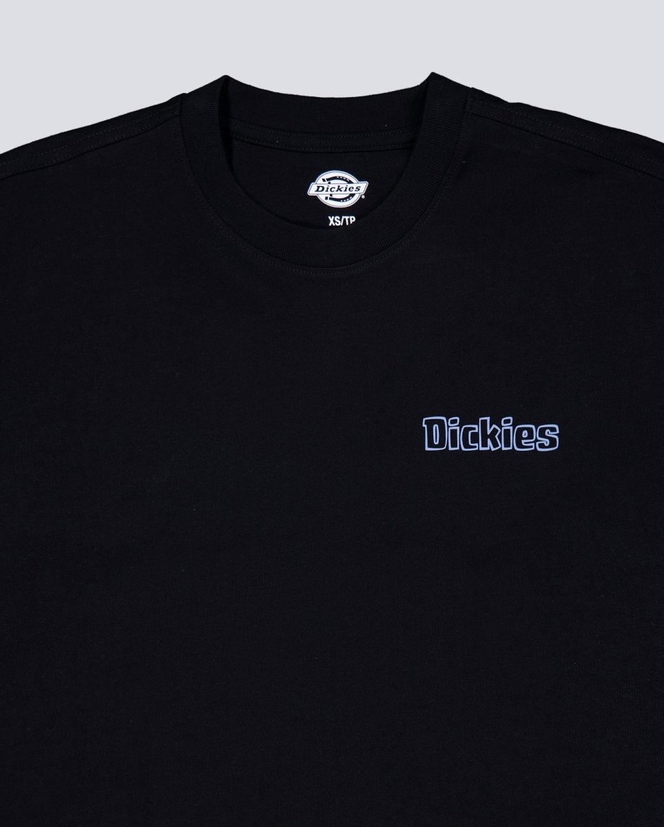 Camiseta Dickies Fairlawn Negro Unisex