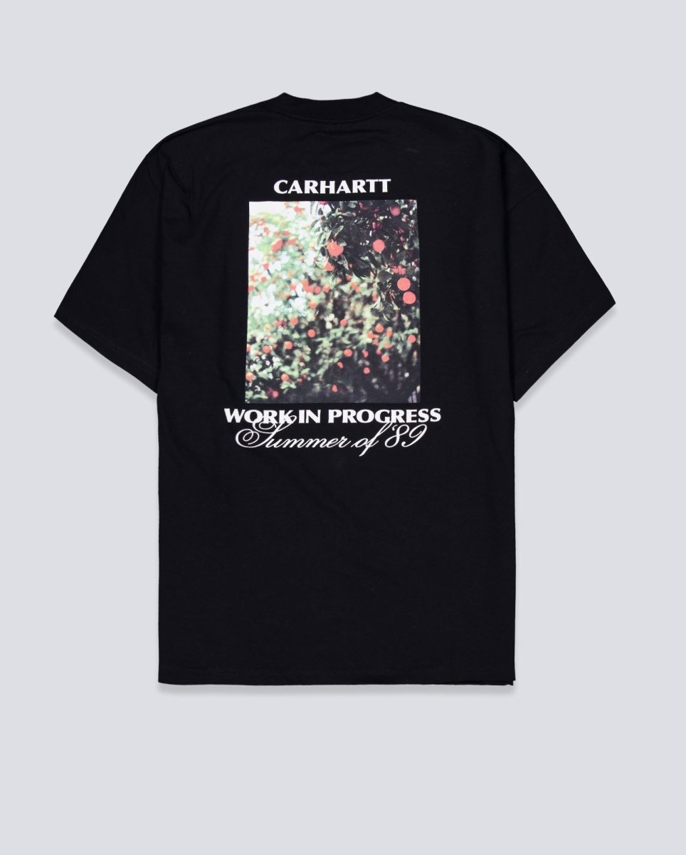 Camiseta Carhartt WIP S/S Warm Views Negra Unisex