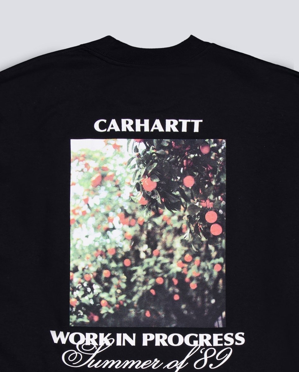 Camiseta Carhartt WIP S/S Warm Views Negra Unisex