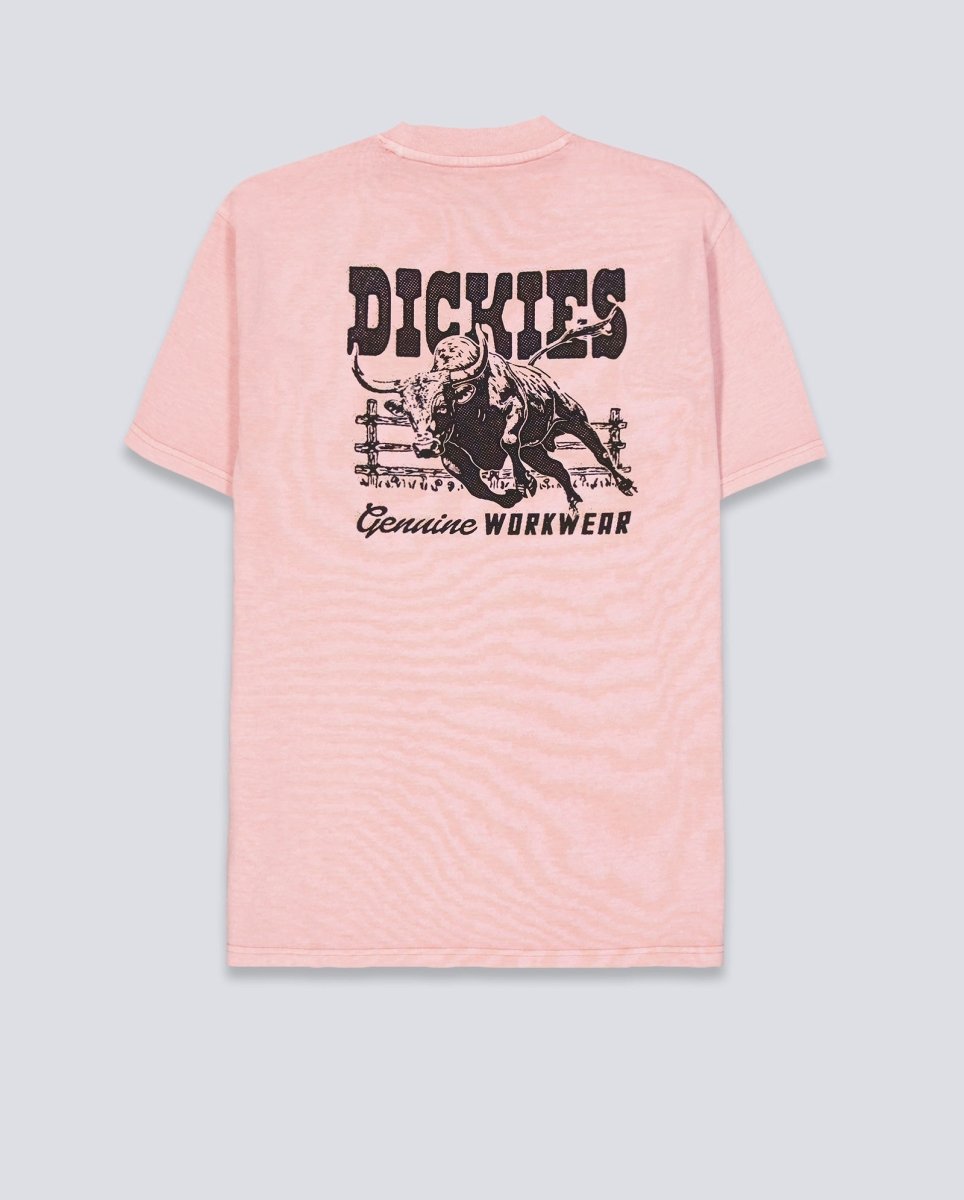 Camiseta Dickies Buchtell Rosa Hombre