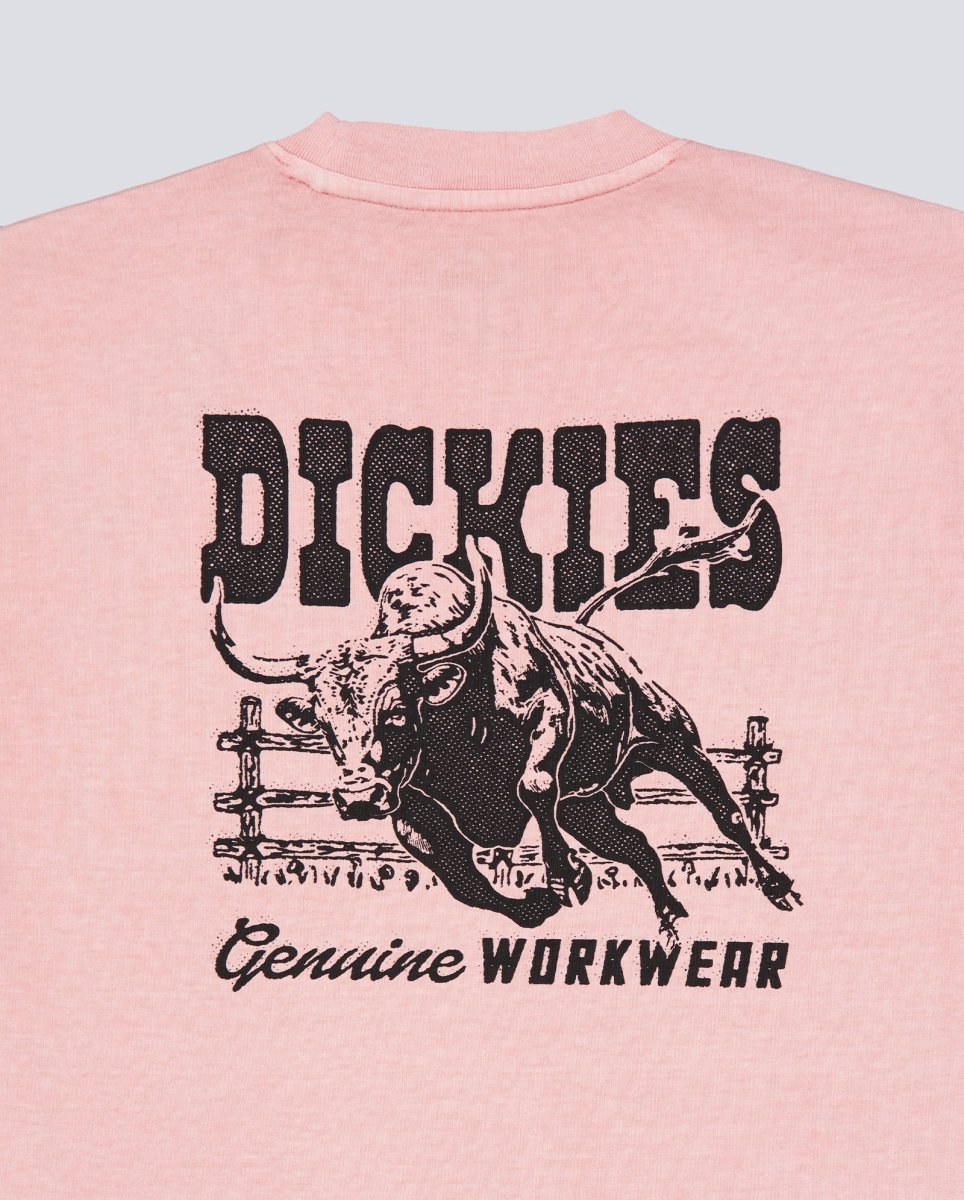 Camiseta Dickies Buchtell Rosa Hombre