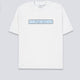Camiseta Butter Goods Glint Gris Unisex