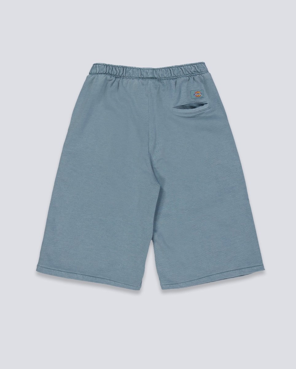 Pantalón corto Dickies Streetsboro Azul Hombre