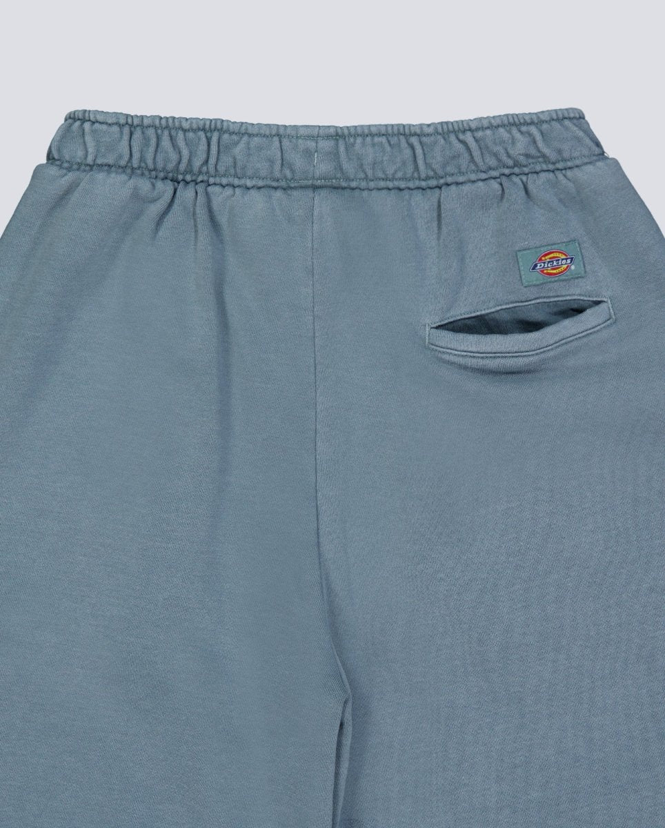 Pantalón corto Dickies Streetsboro Azul Hombre