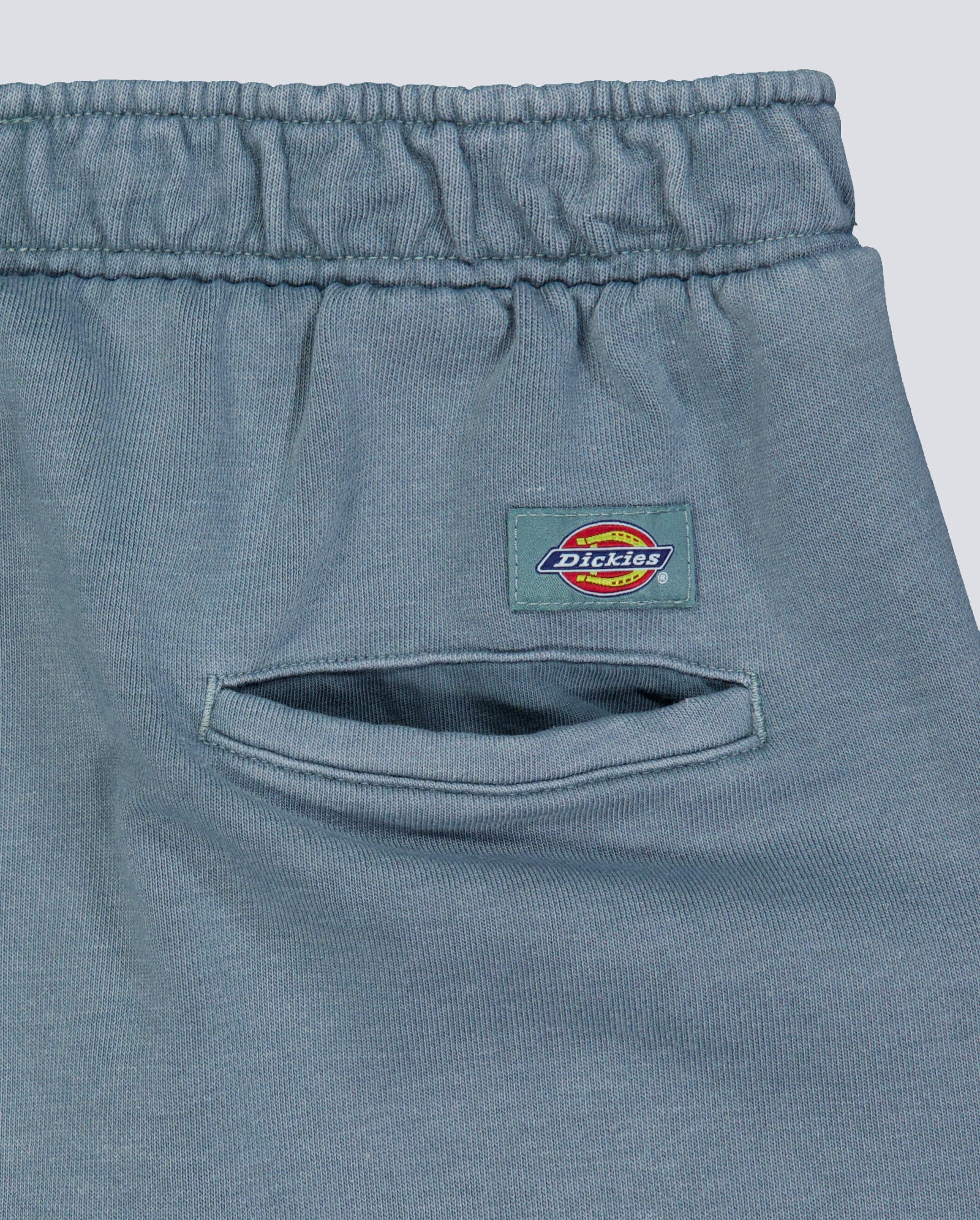 Pantalón corto Dickies Streetsboro Azul Hombre