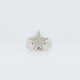 Anillo Shooting Star Plateado Unisex