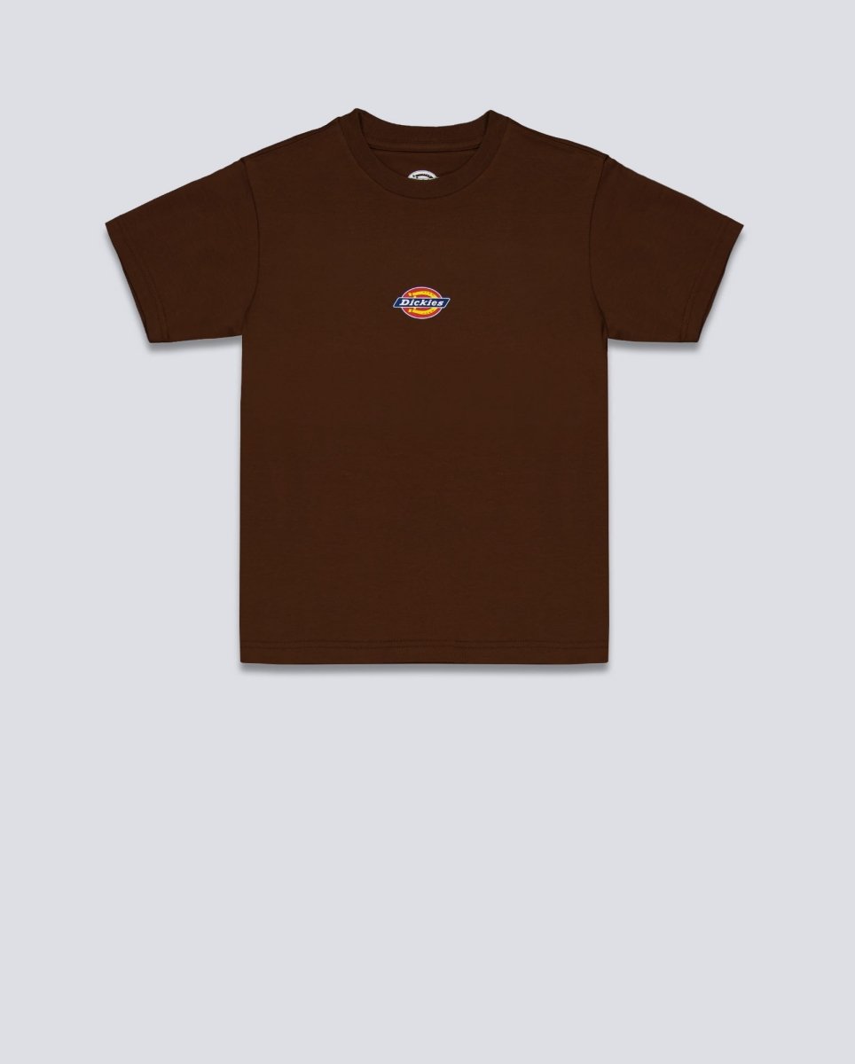 Camiseta  Dickies Maple Valley Reg Tee Marrón Mujer DK0A4ZAO0TB1