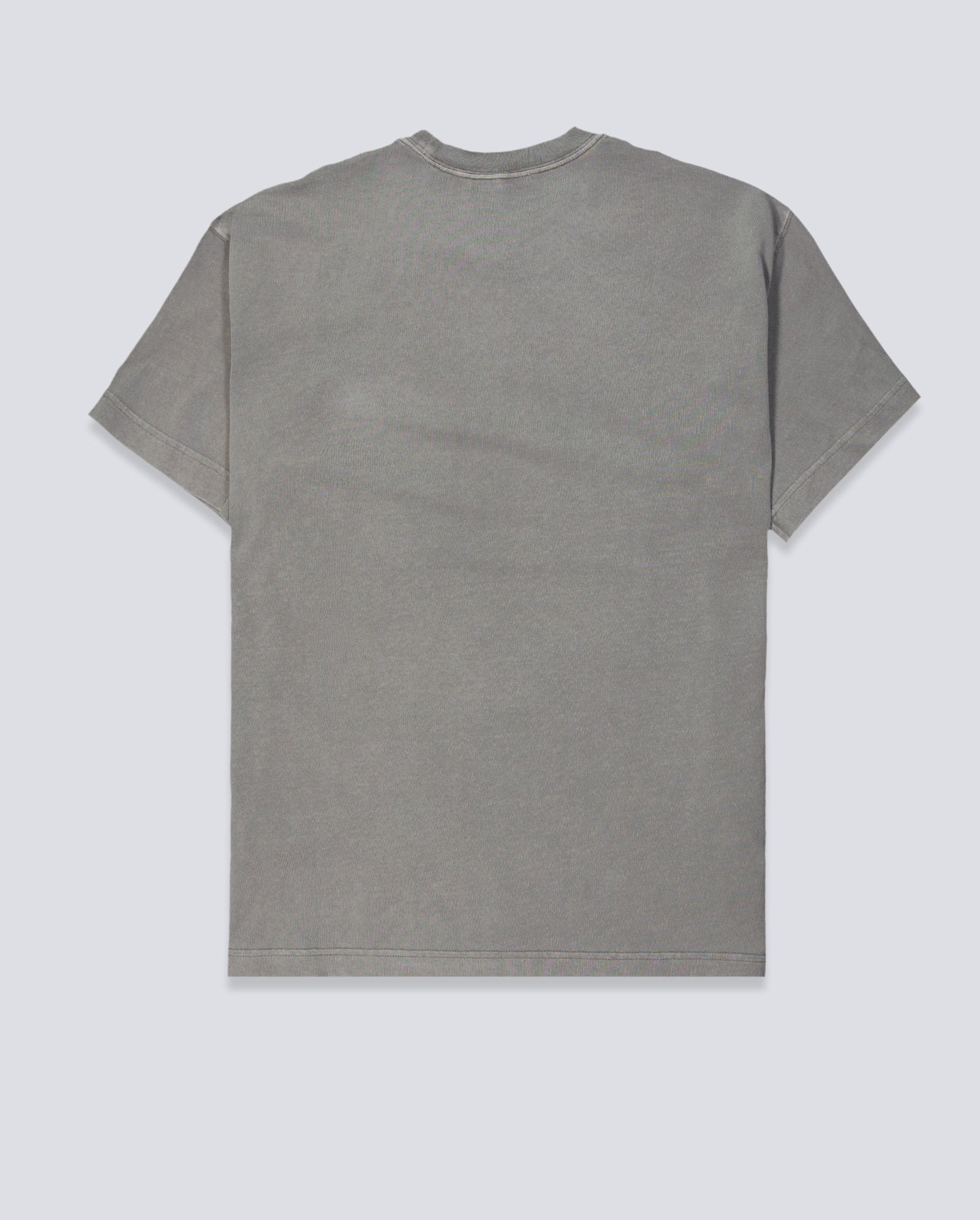 Camiseta Carhartt WIP Nelson Gris Unisex I029949-2LRGD
