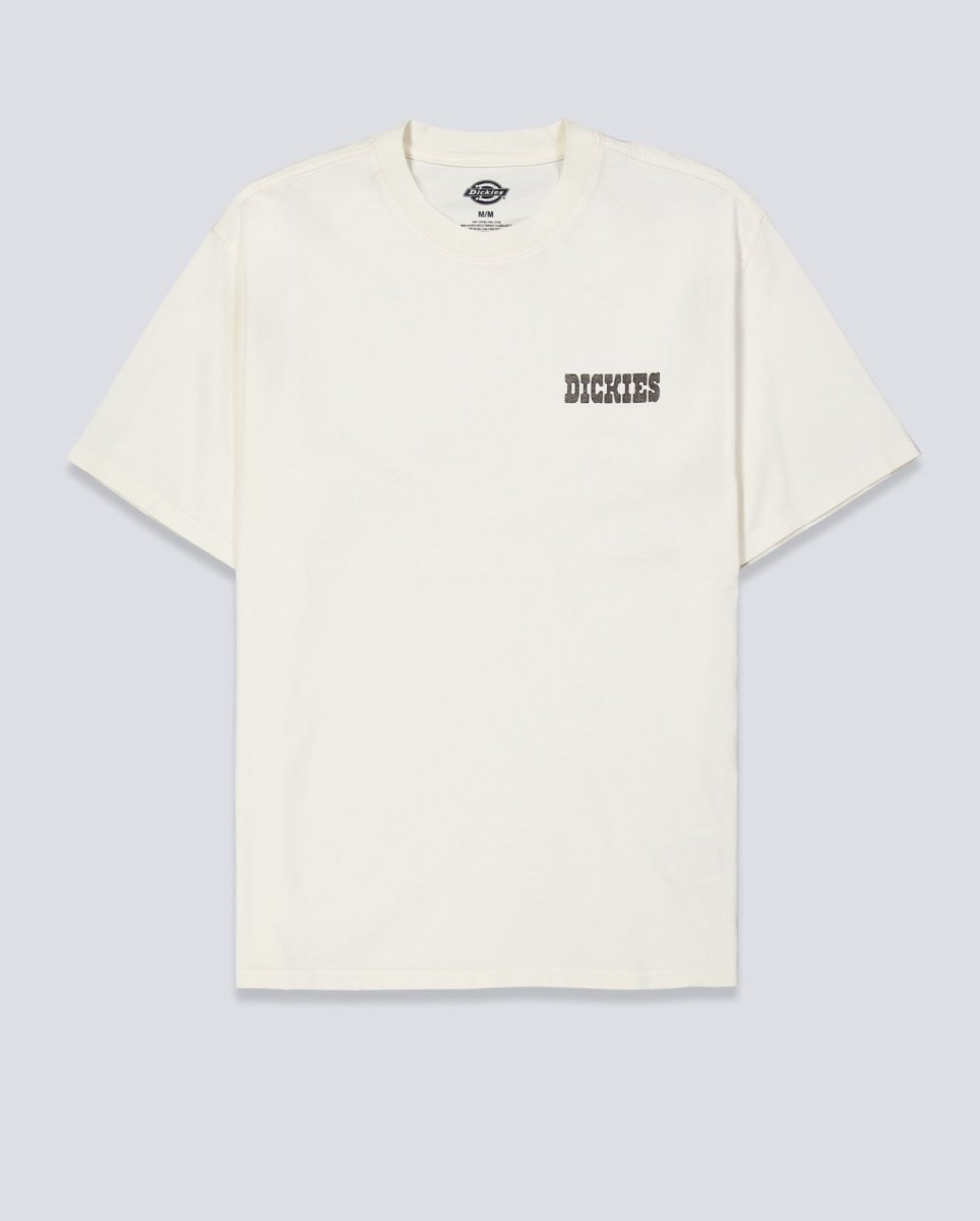 Camiseta Dickies Buchtell Gris Hombre DK0A883BC481