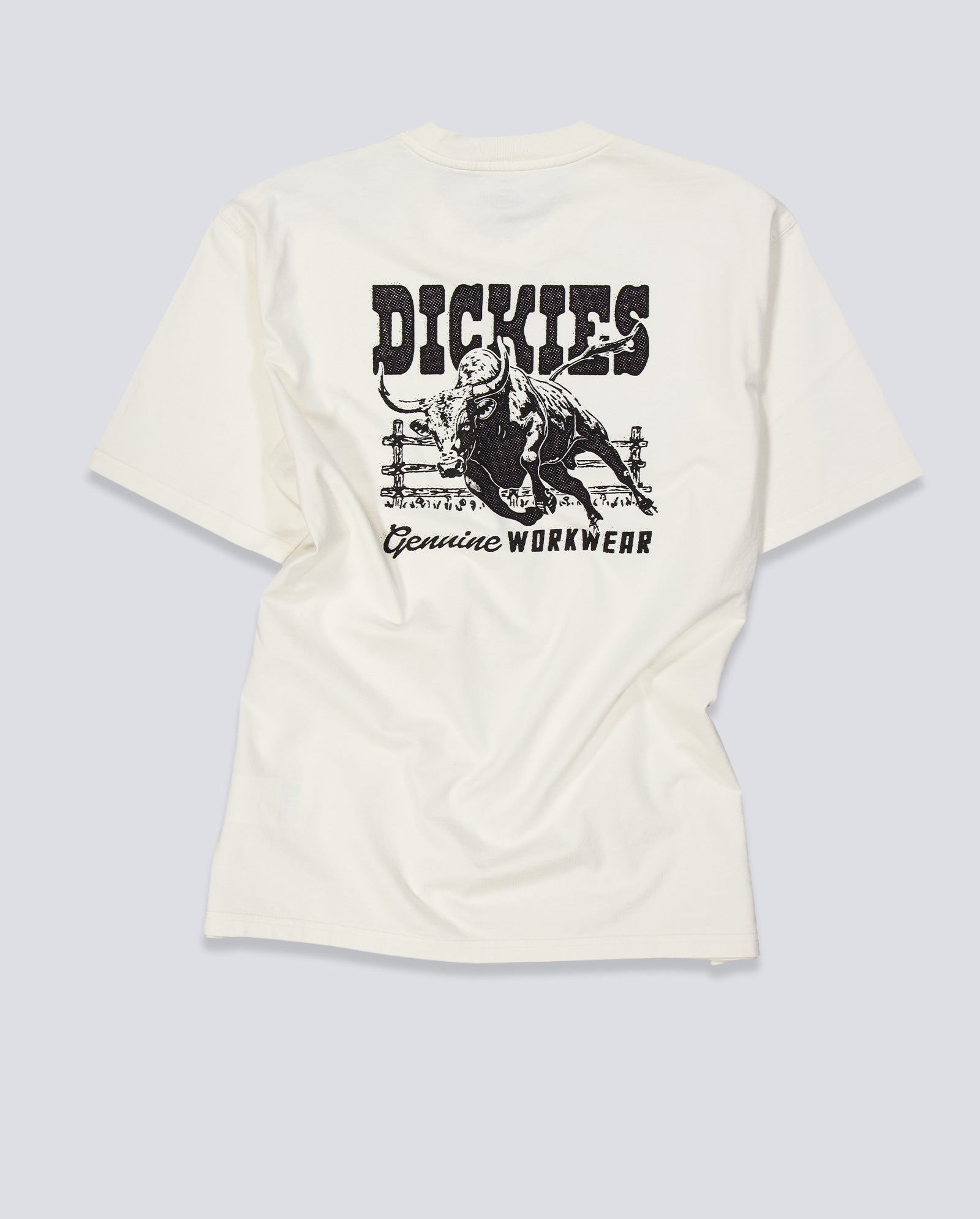 Camiseta Dickies Buchtell Gris Hombre DK0A883BC481