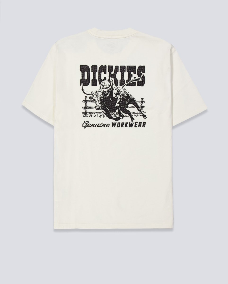 Camiseta Dickies Buchtell Gris Hombre DK0A883BC481