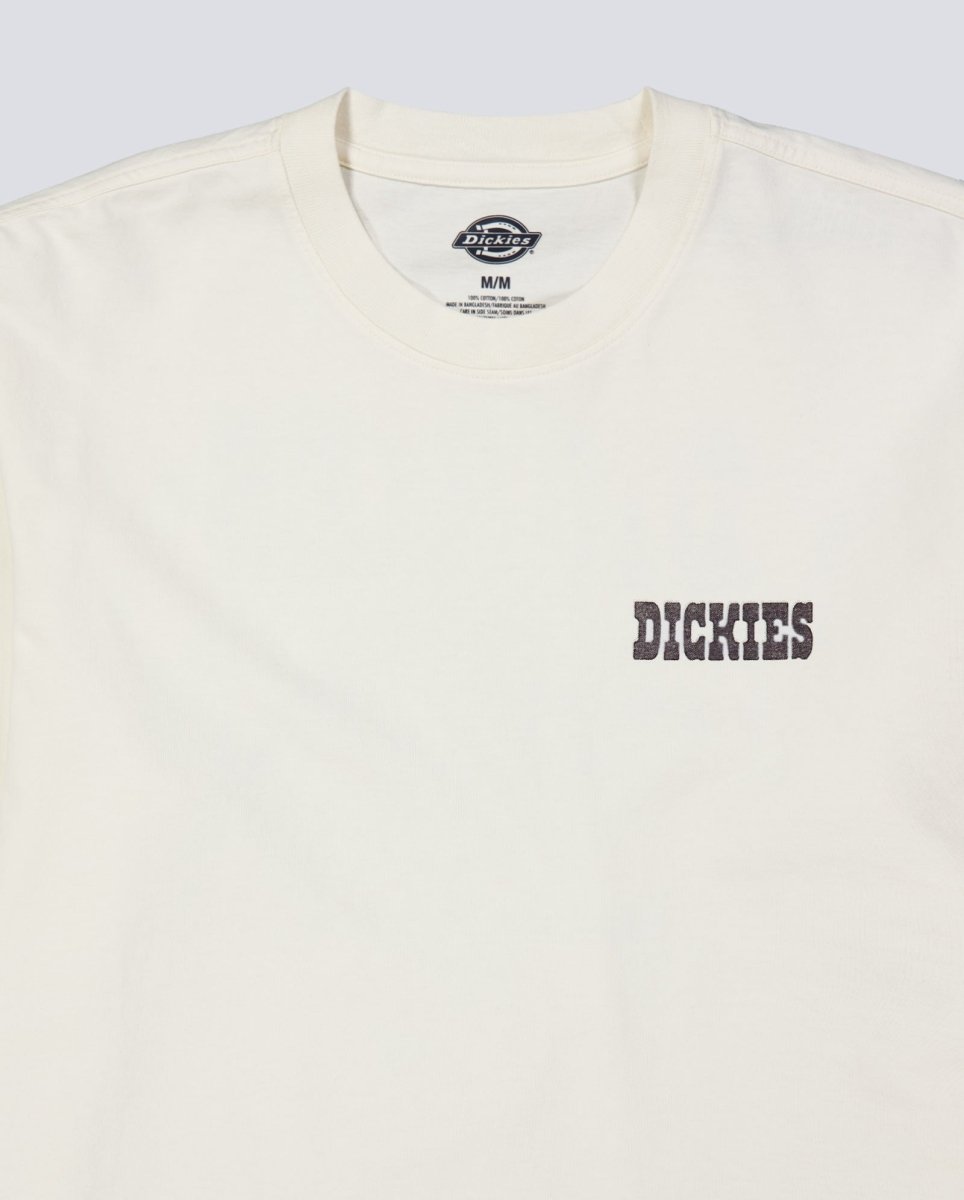 Camiseta Dickies Buchtell Gris Hombre DK0A883BC481